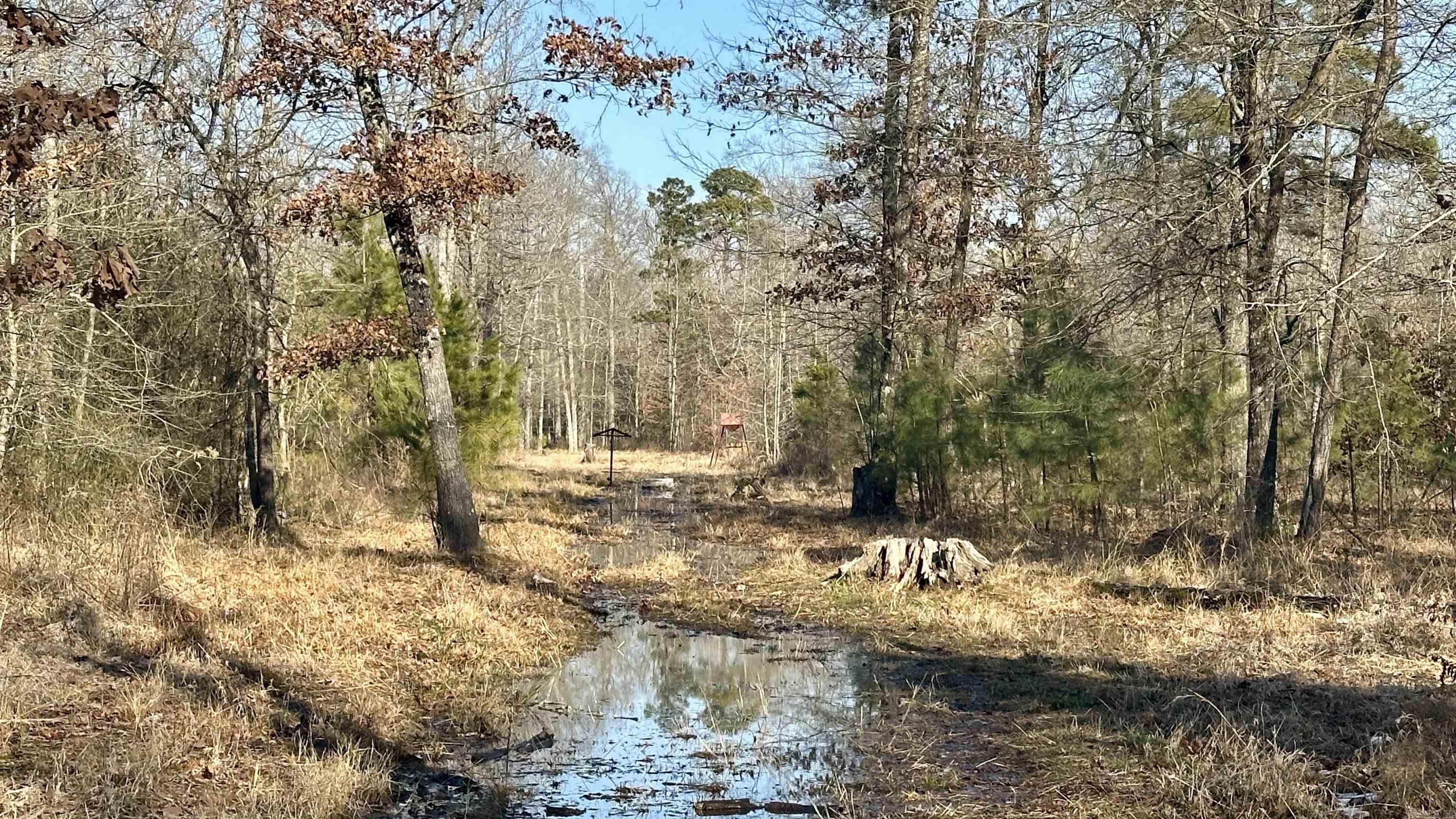 000 E. 38th Ave.  Pine Bluff, AR