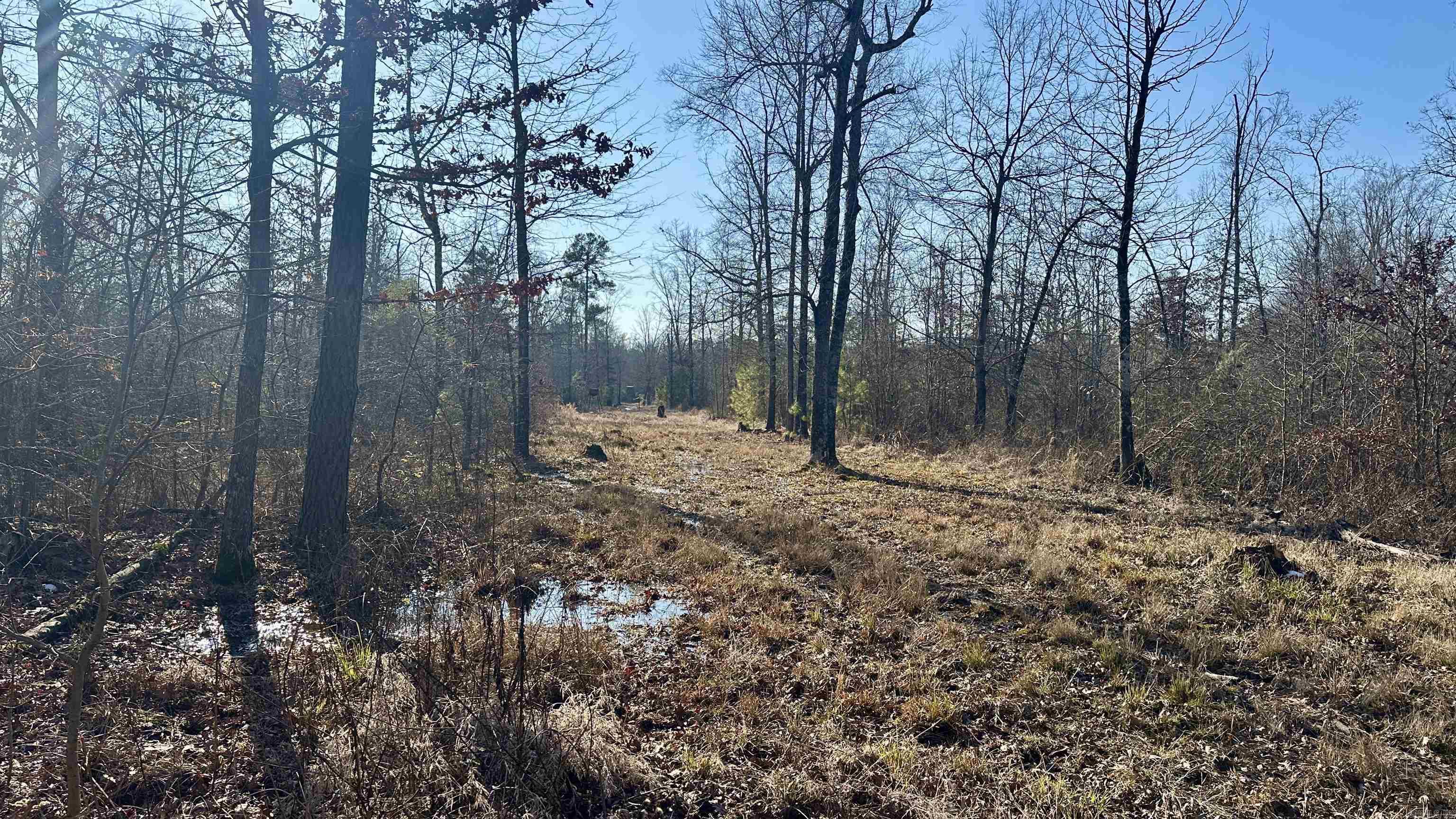 000 E. 38th Ave.  Pine Bluff, AR