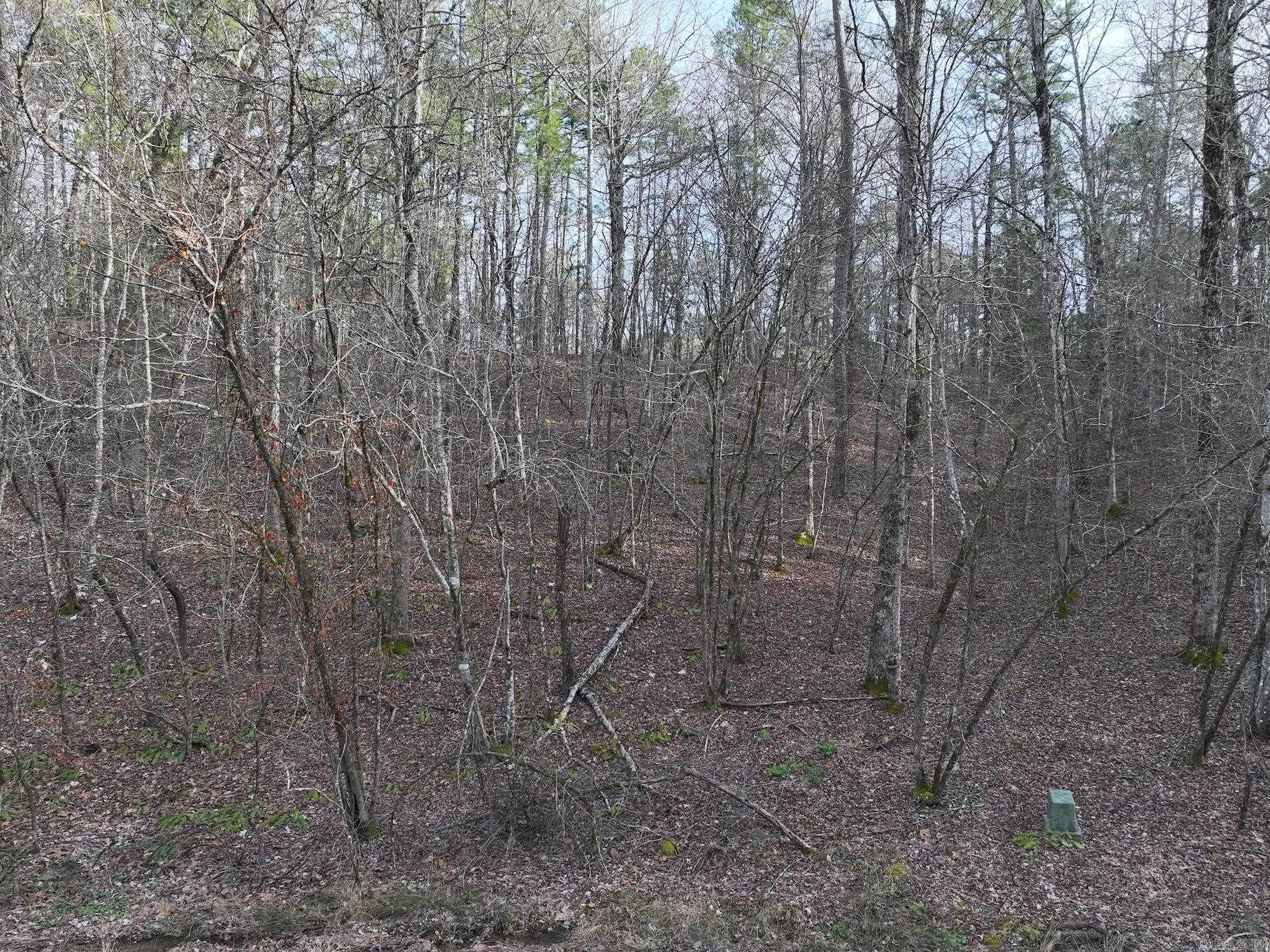 229 Denby Cove Lot 17 Mount Ida, AR
