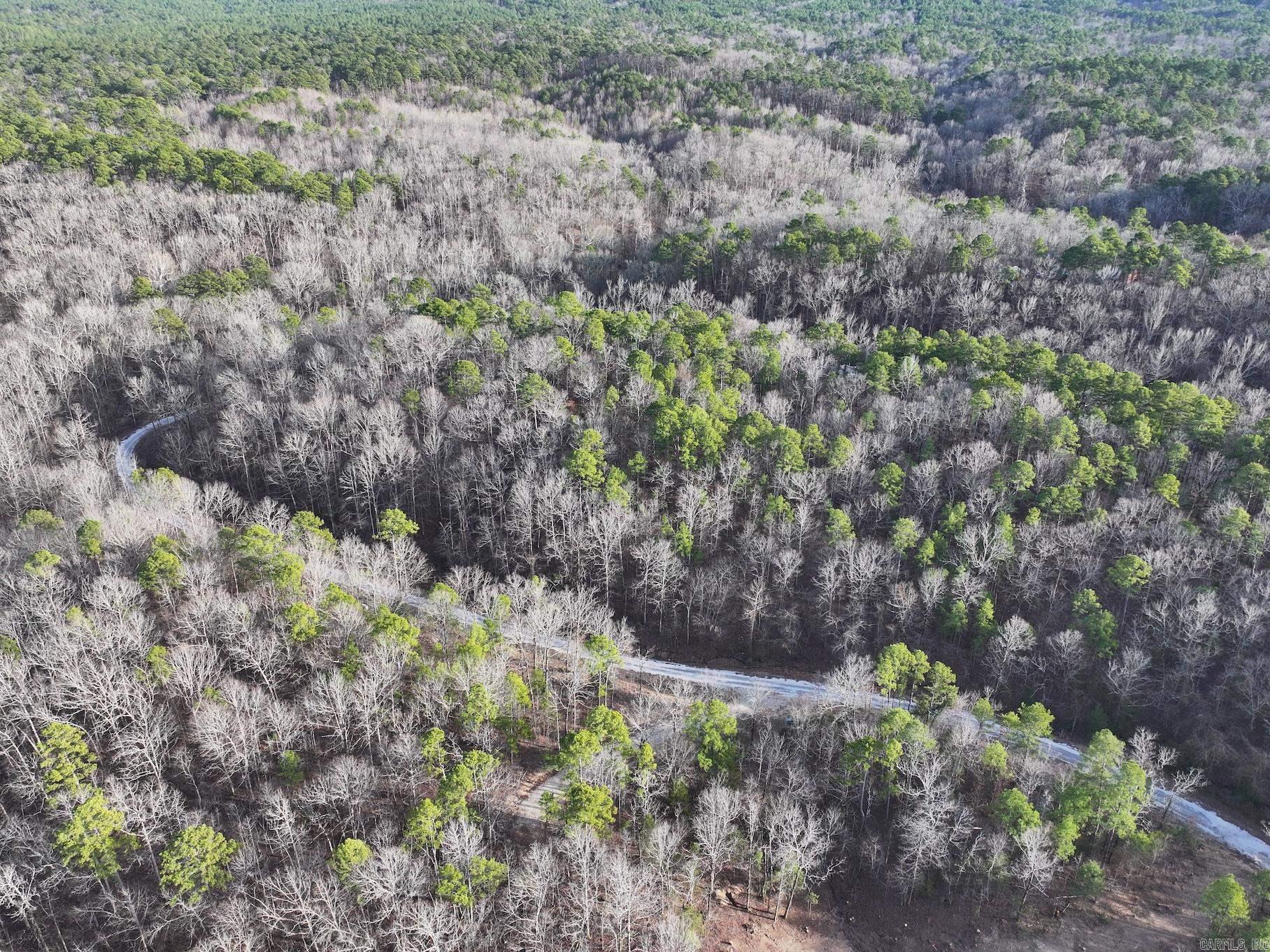 229 Denby Cove Lot 17 Mount Ida, AR