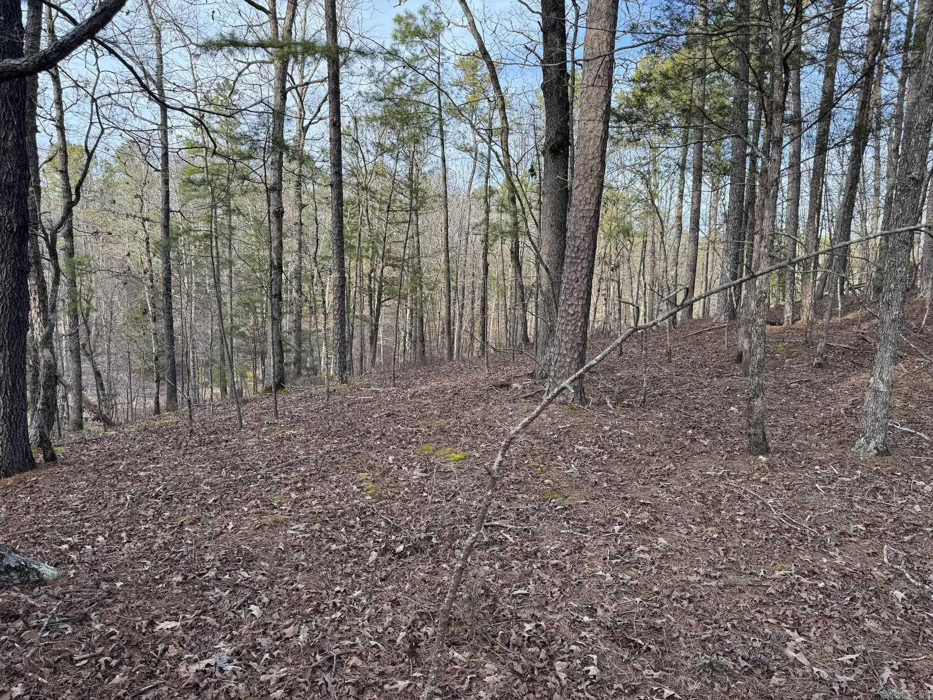 229 Denby Cove Lot 17 Mount Ida, AR