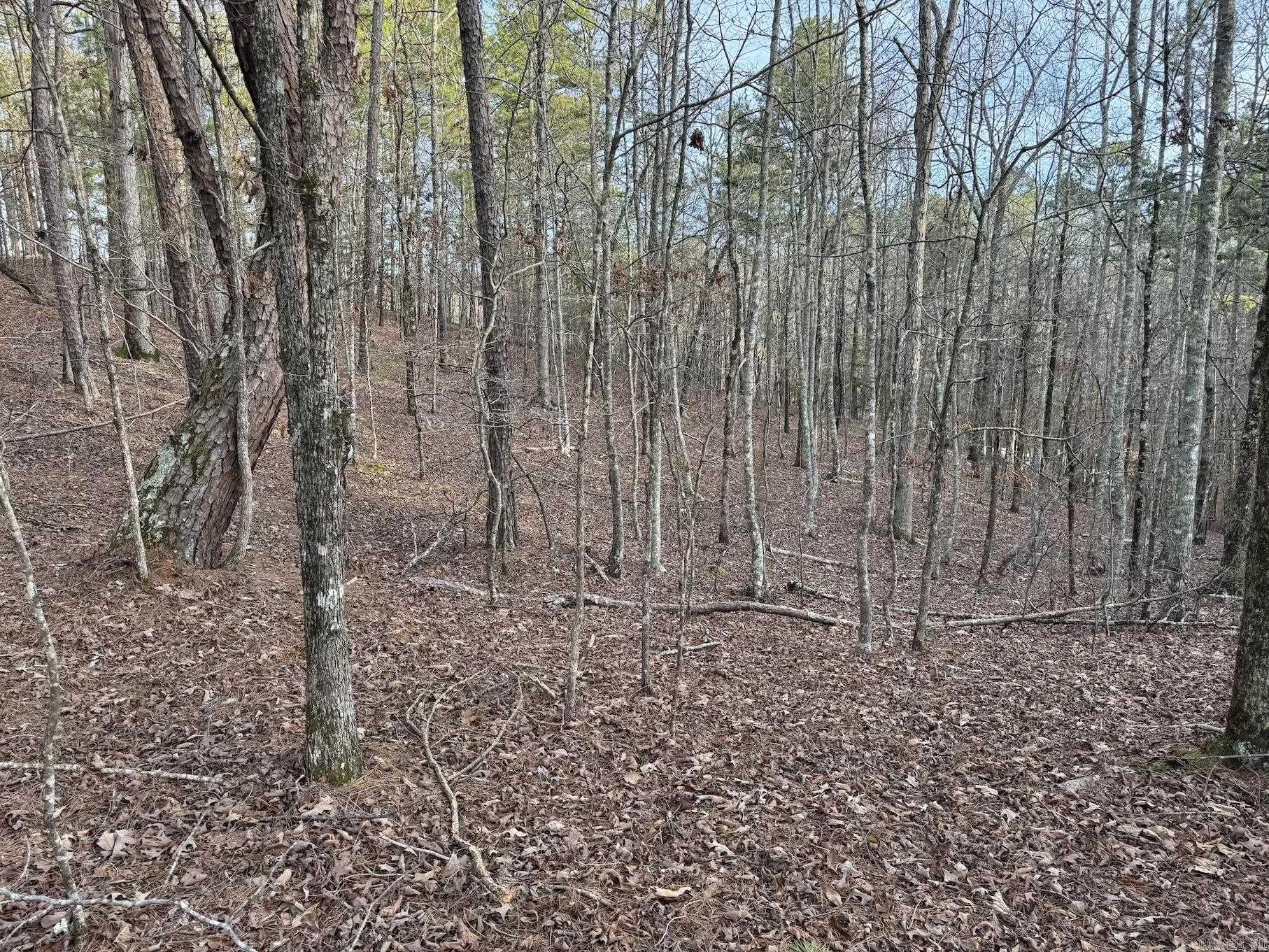 229 Denby Cove Lot 17 Mount Ida, AR