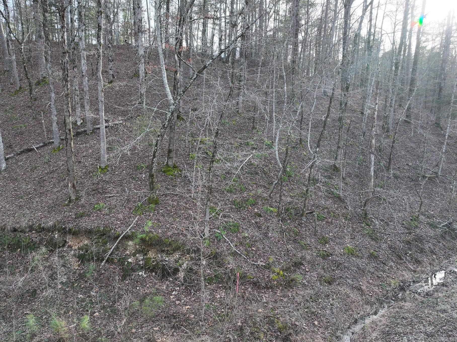 229 Denby Cove Lot 17 Mount Ida, AR