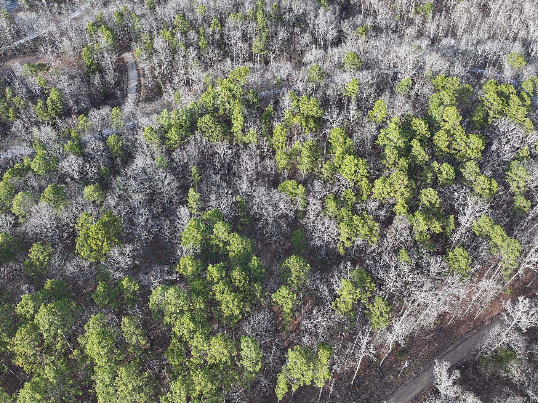229 Denby Cove Lot 17 Mount Ida, AR