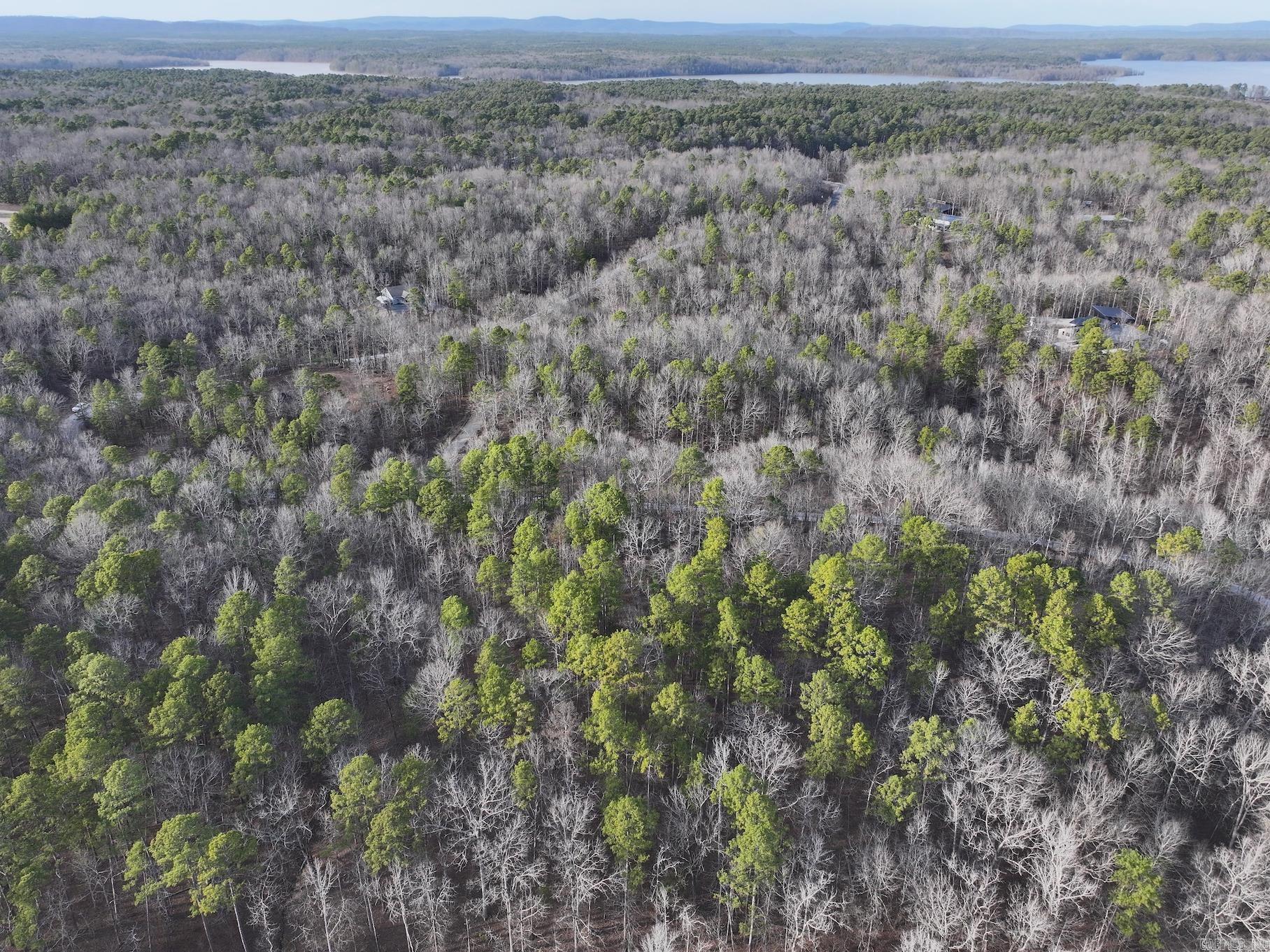 229 Denby Cove Lot 17 Mount Ida, AR