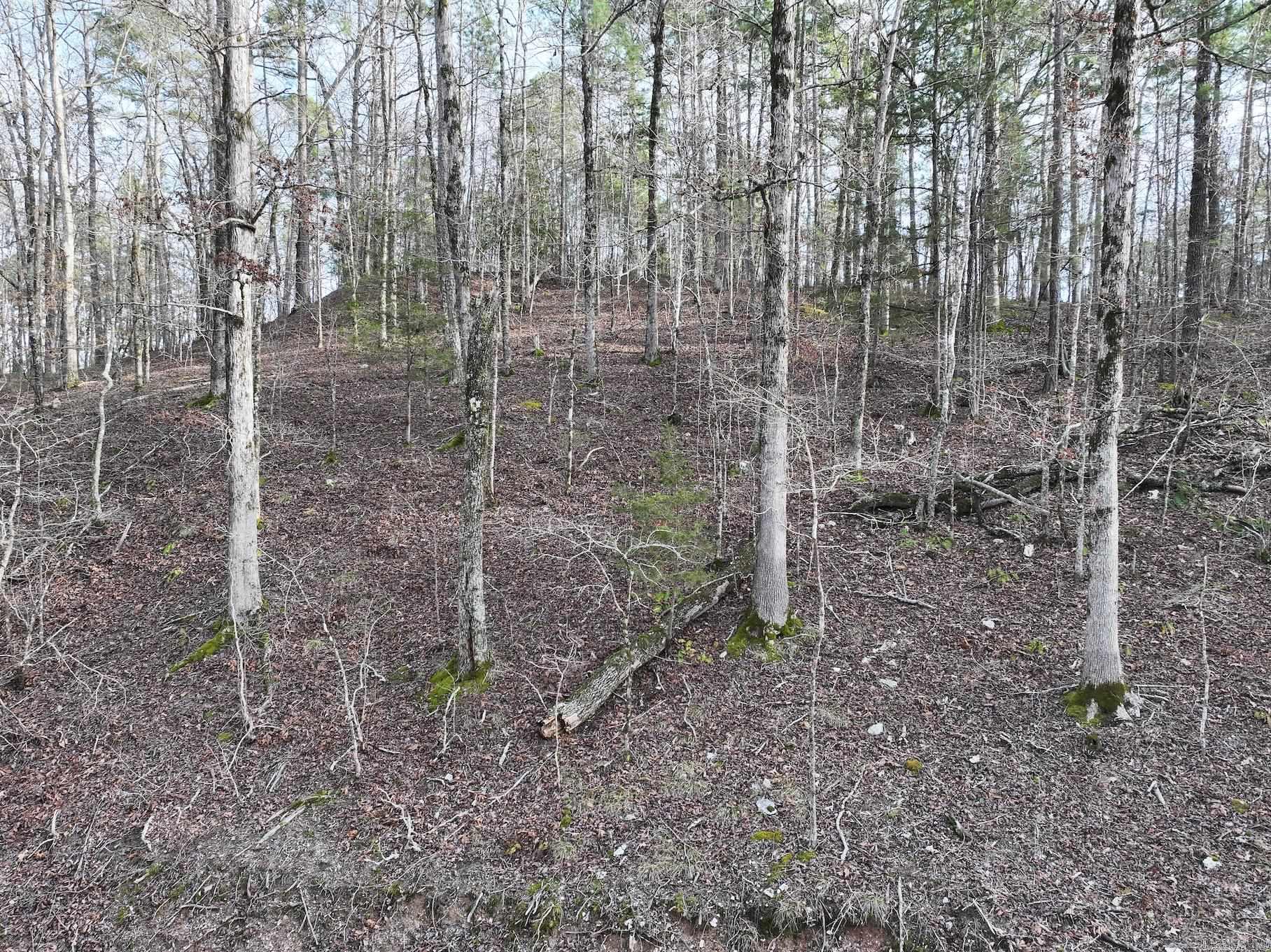 229 Denby Cove Lot 17 Mount Ida, AR