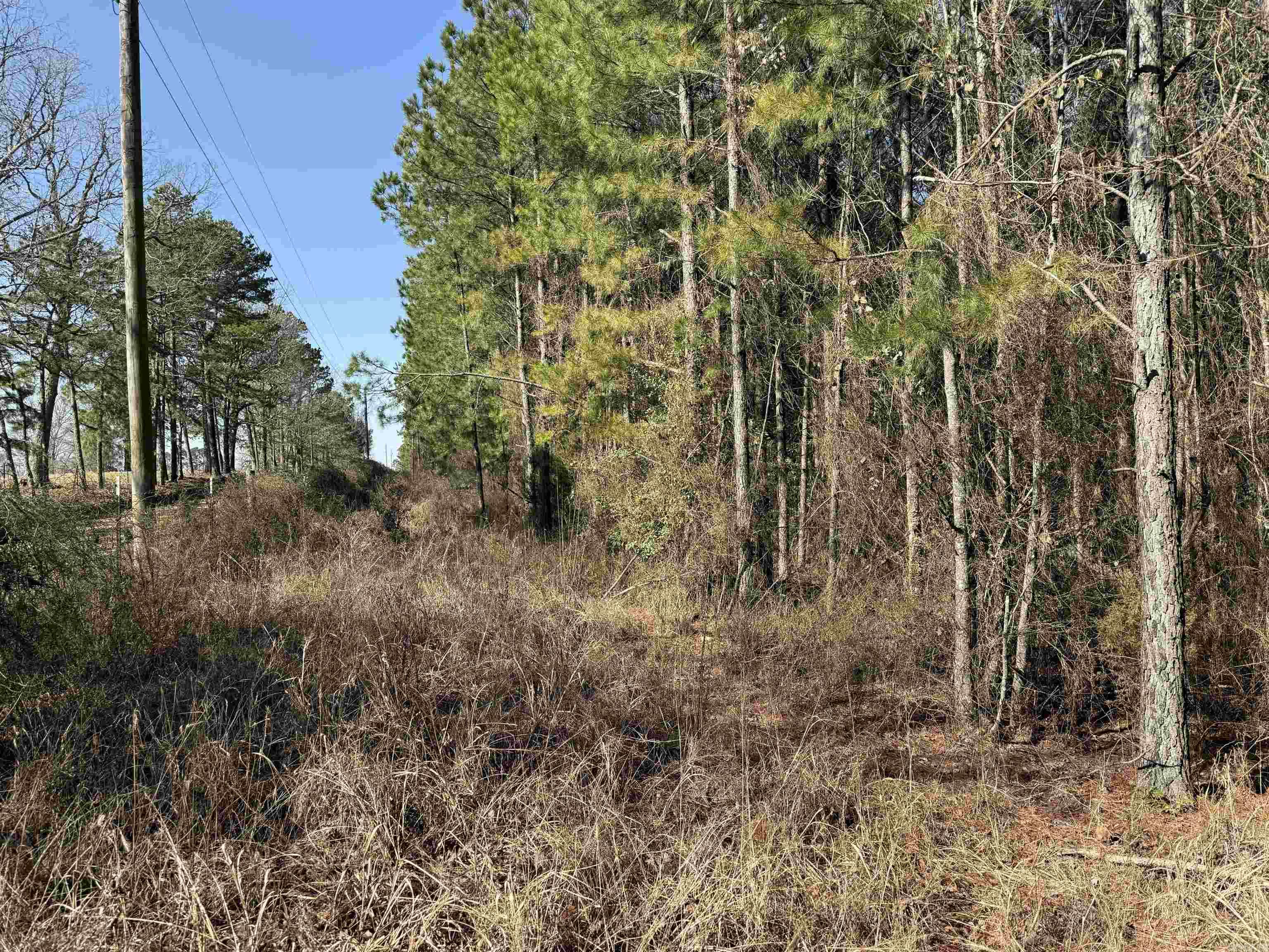 1313 Polk Road 13  Wickes, AR