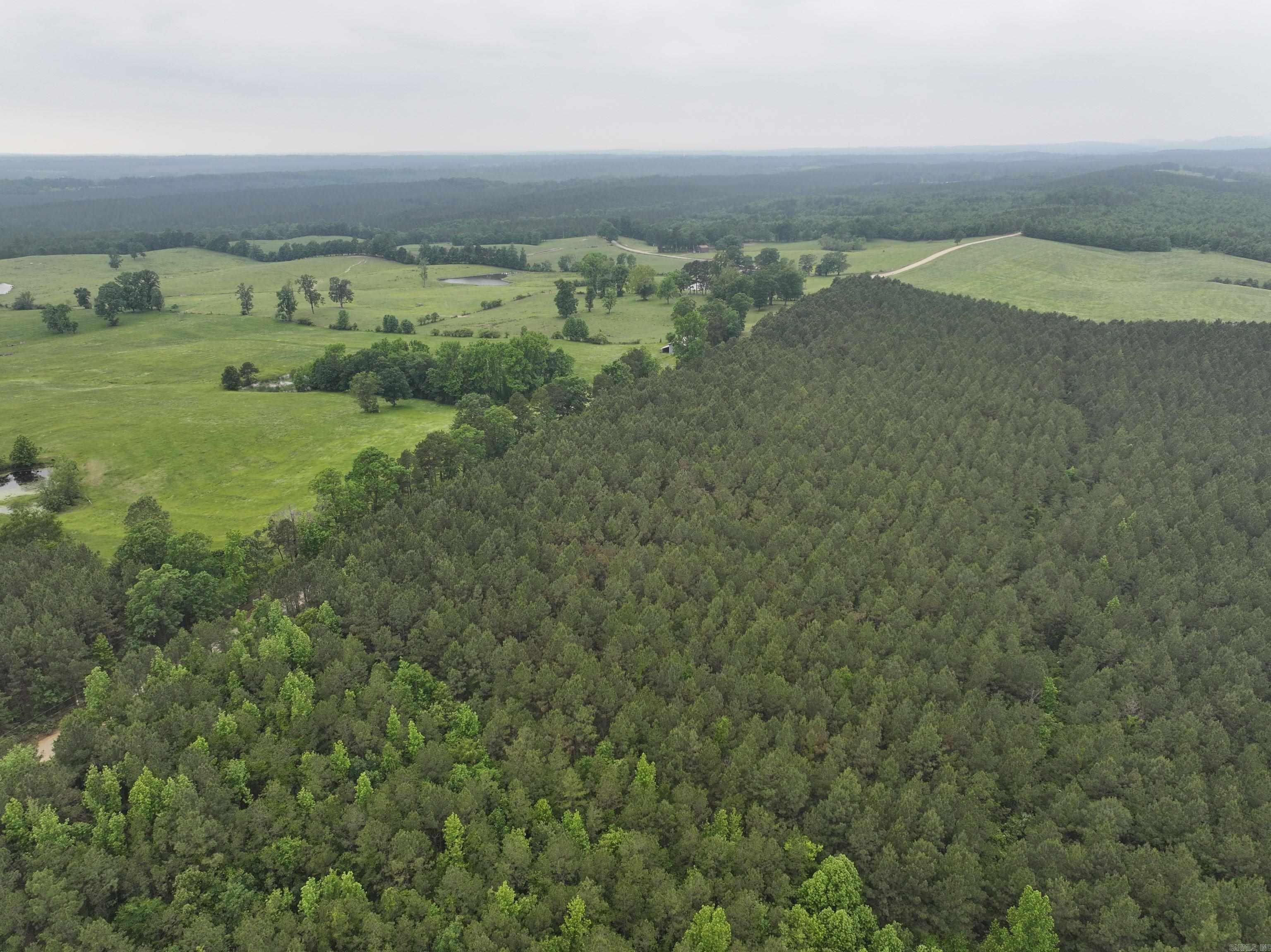 1313 Polk Road 13  Wickes, AR