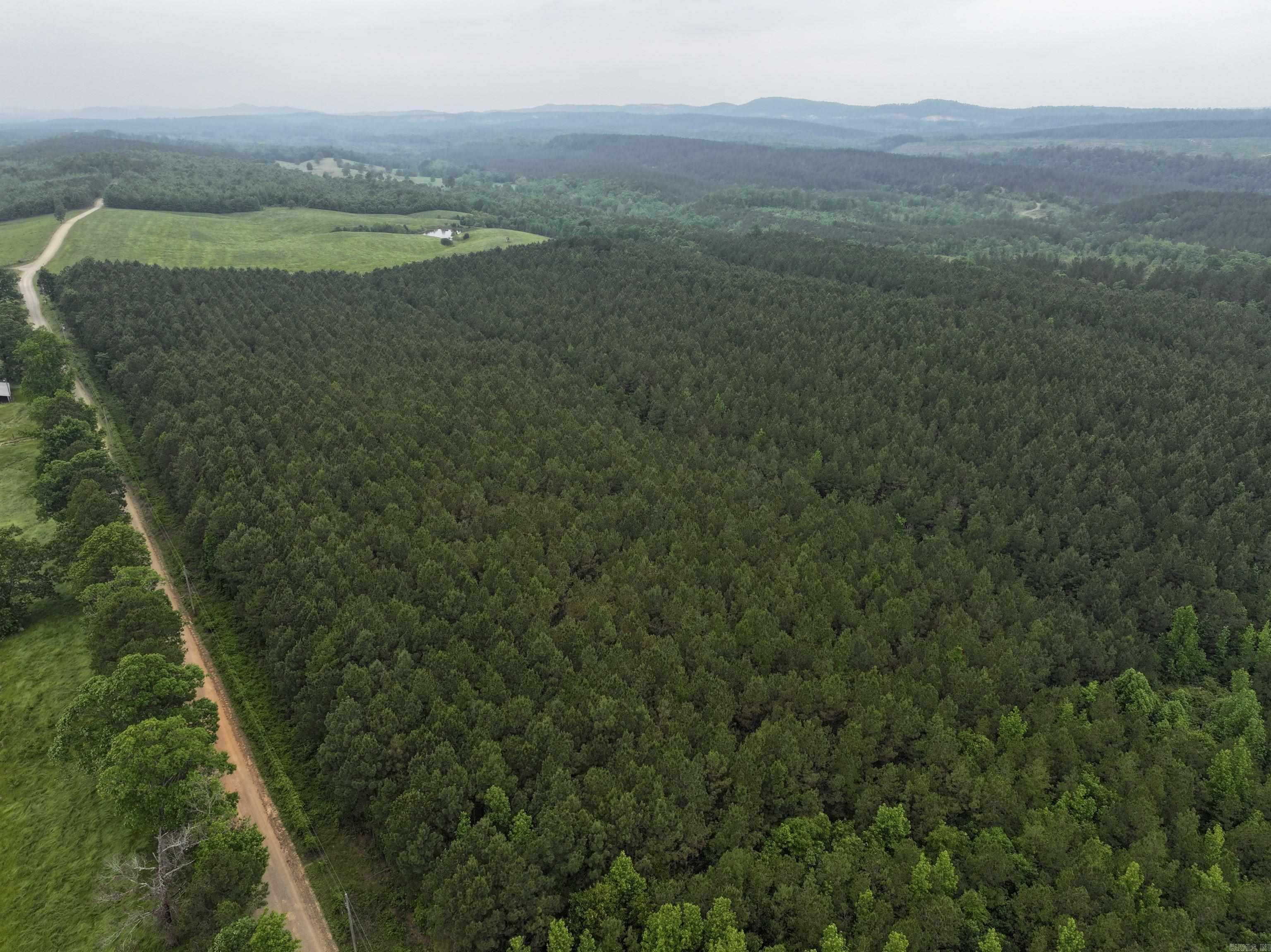 1313 Polk Road 13  Wickes, AR