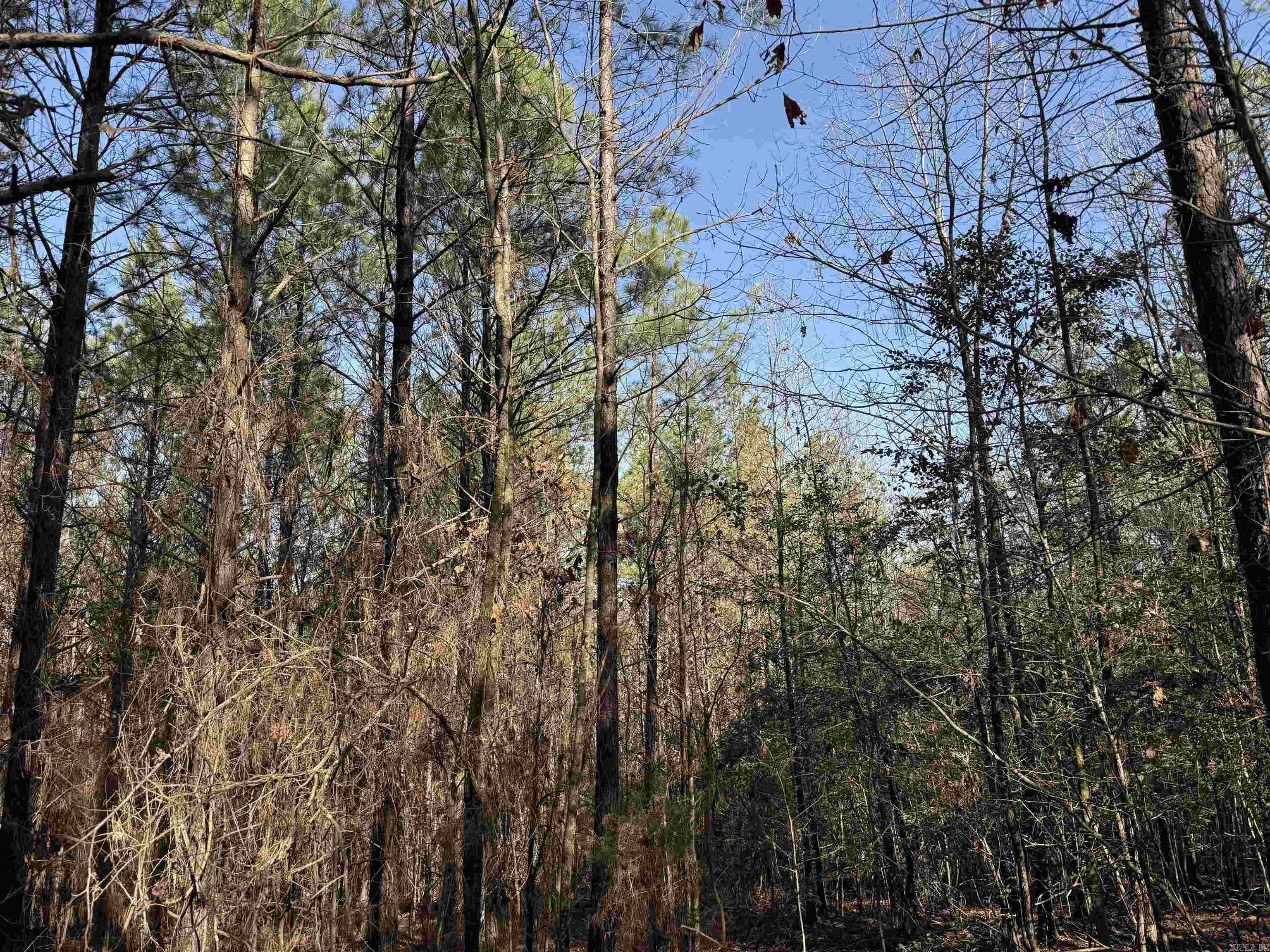 1313 Polk Road 13  Wickes, AR