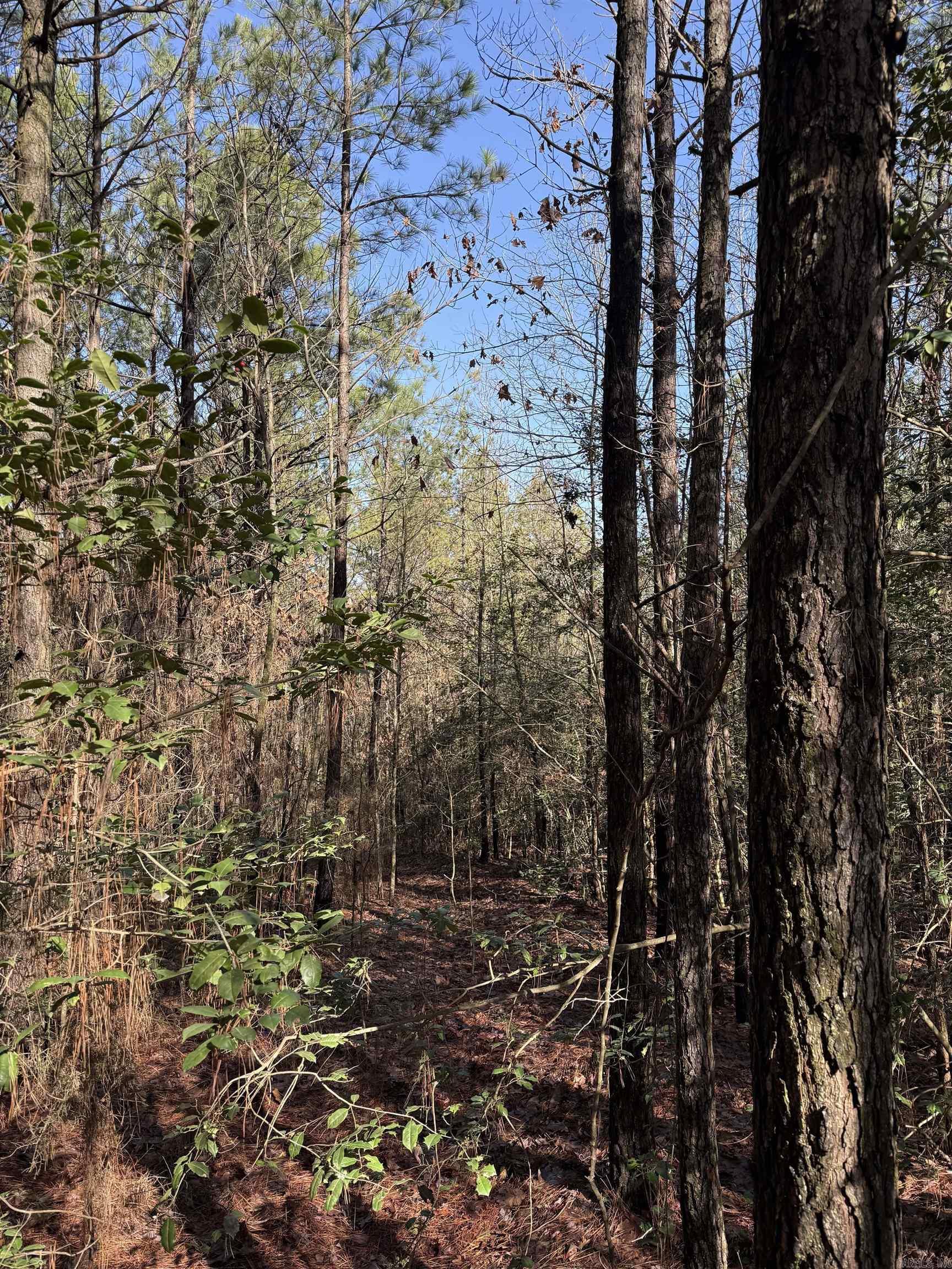 1313 Polk Road 13  Wickes, AR