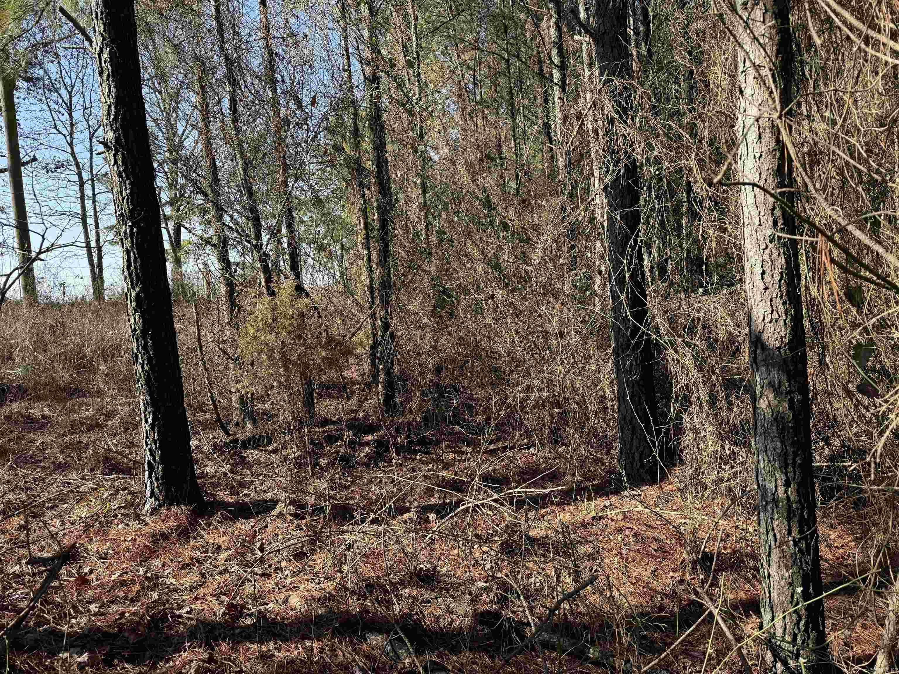 1313 Polk Road 13  Wickes, AR