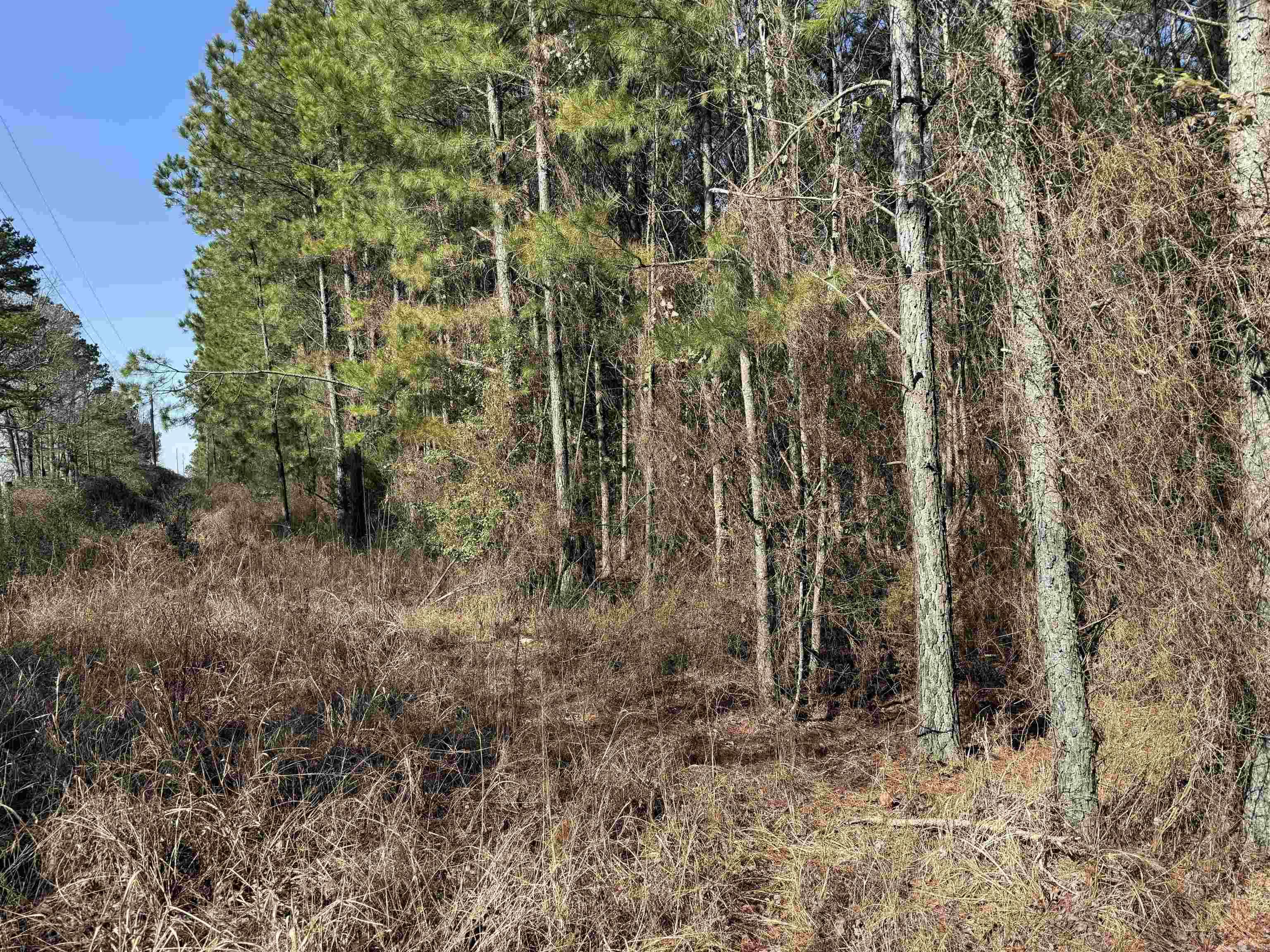 1313 Polk Road 13  Wickes, AR