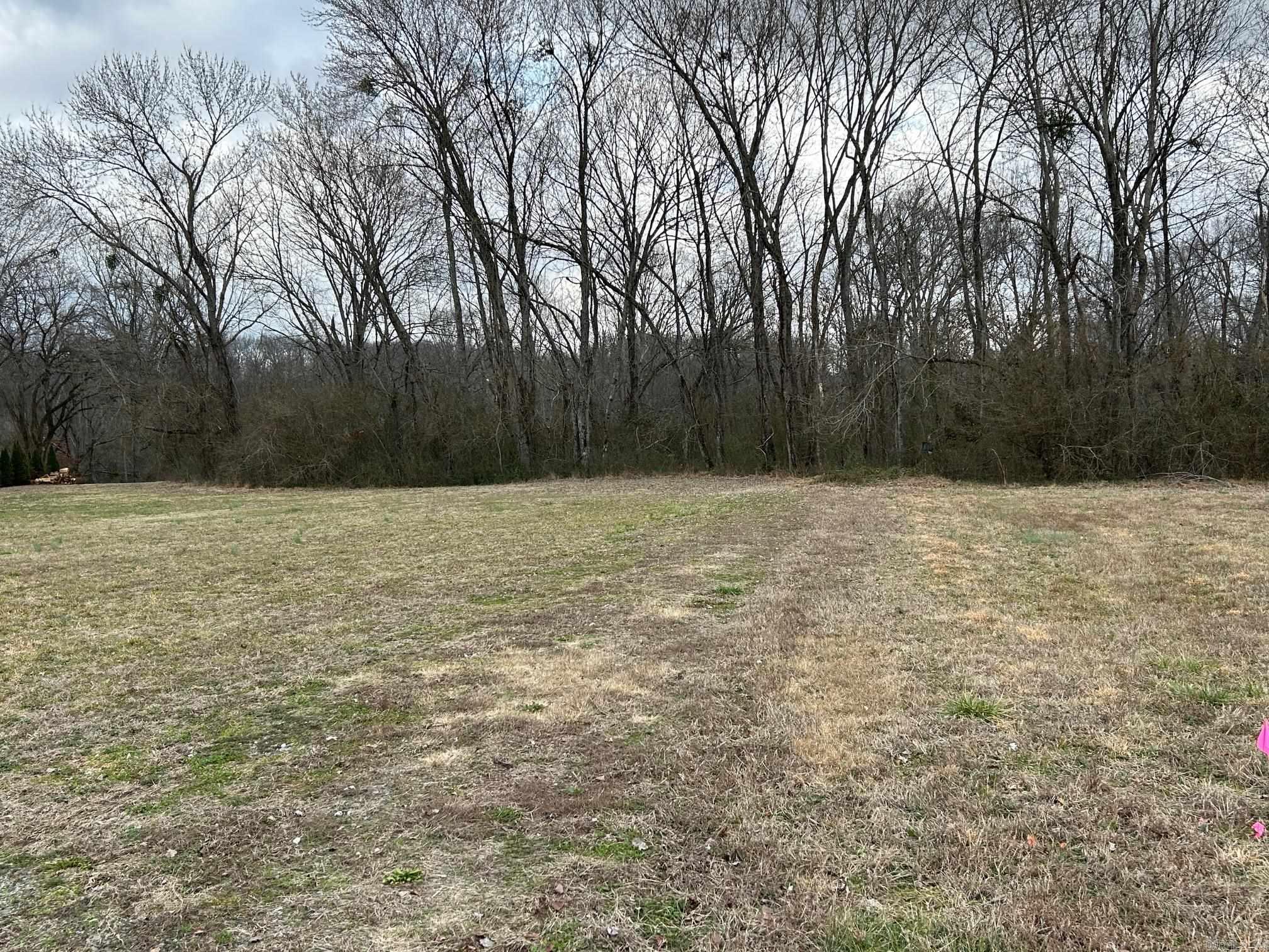 290 Raintree Valley  Pangburn, AR