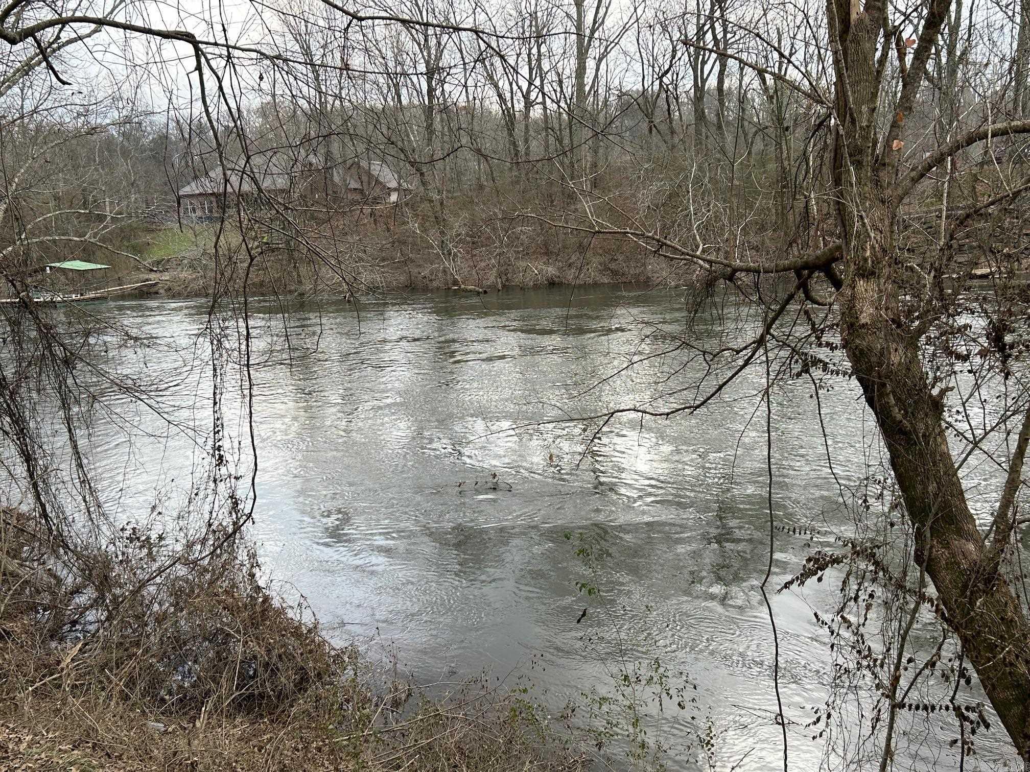 290 Raintree Valley  Pangburn, AR