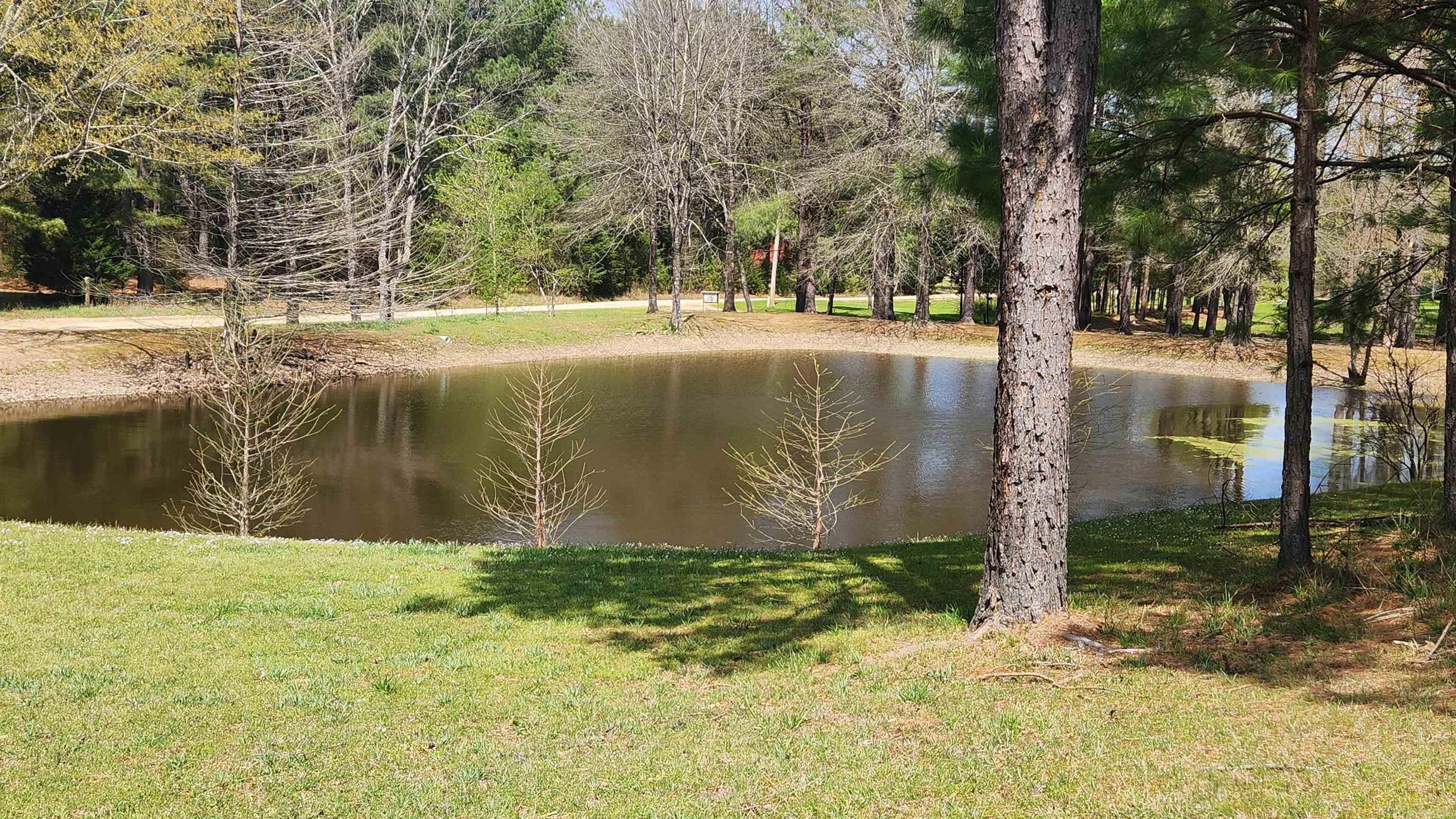 110 Lizard Lane Story, AR 71970