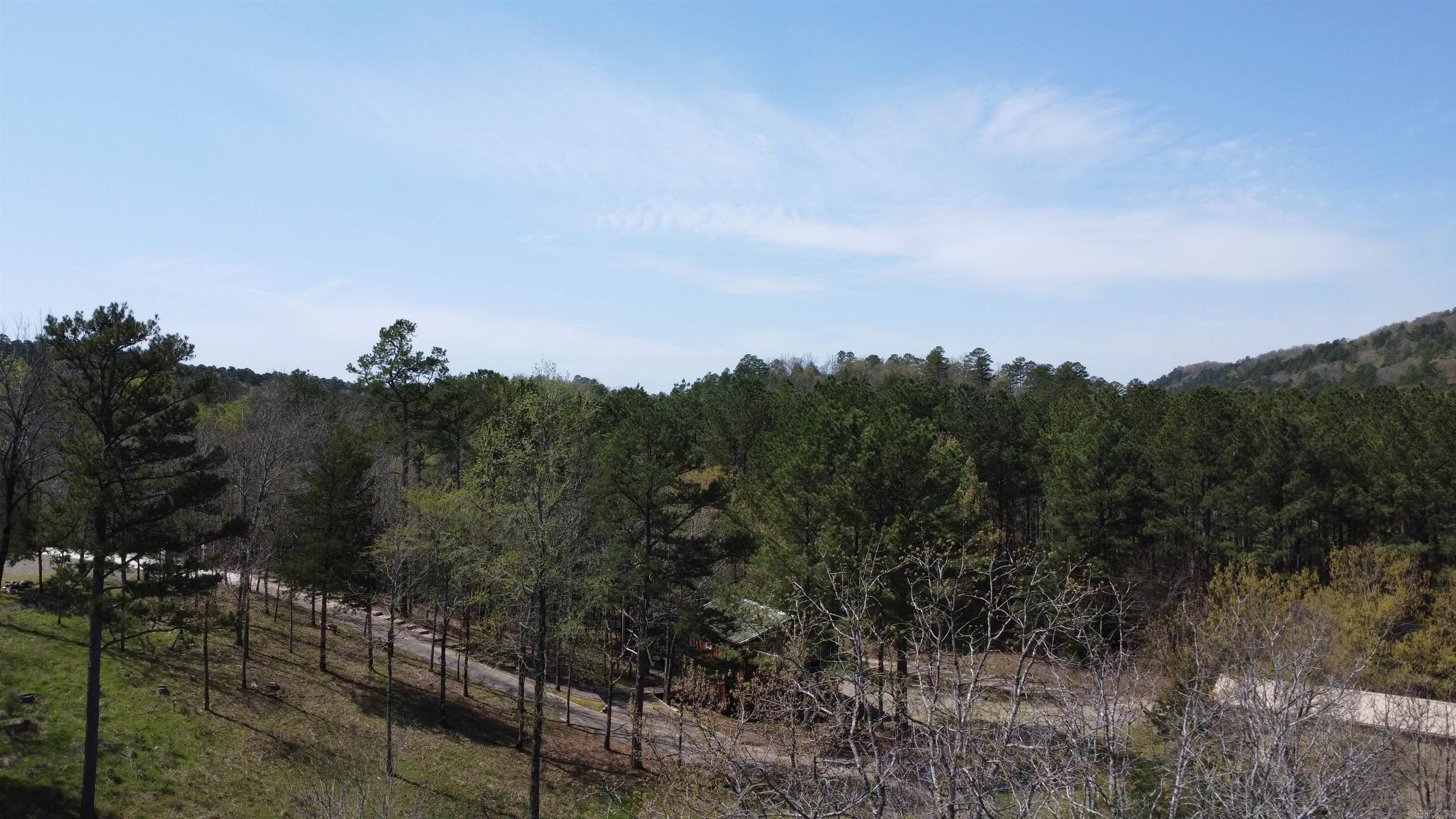 110 Lizard Lane Story, AR 71970