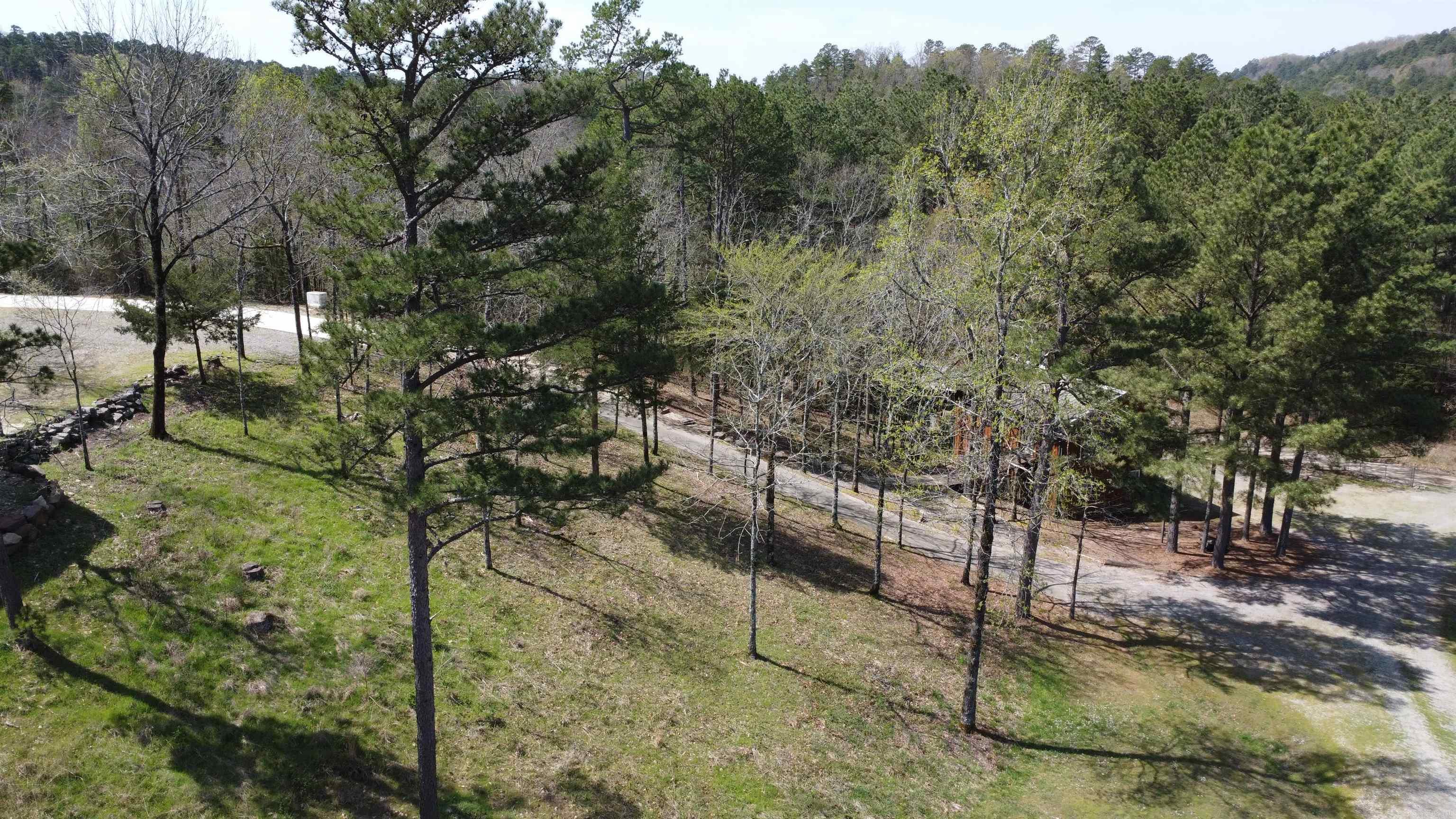 110 Lizard Lane Story, AR 71970