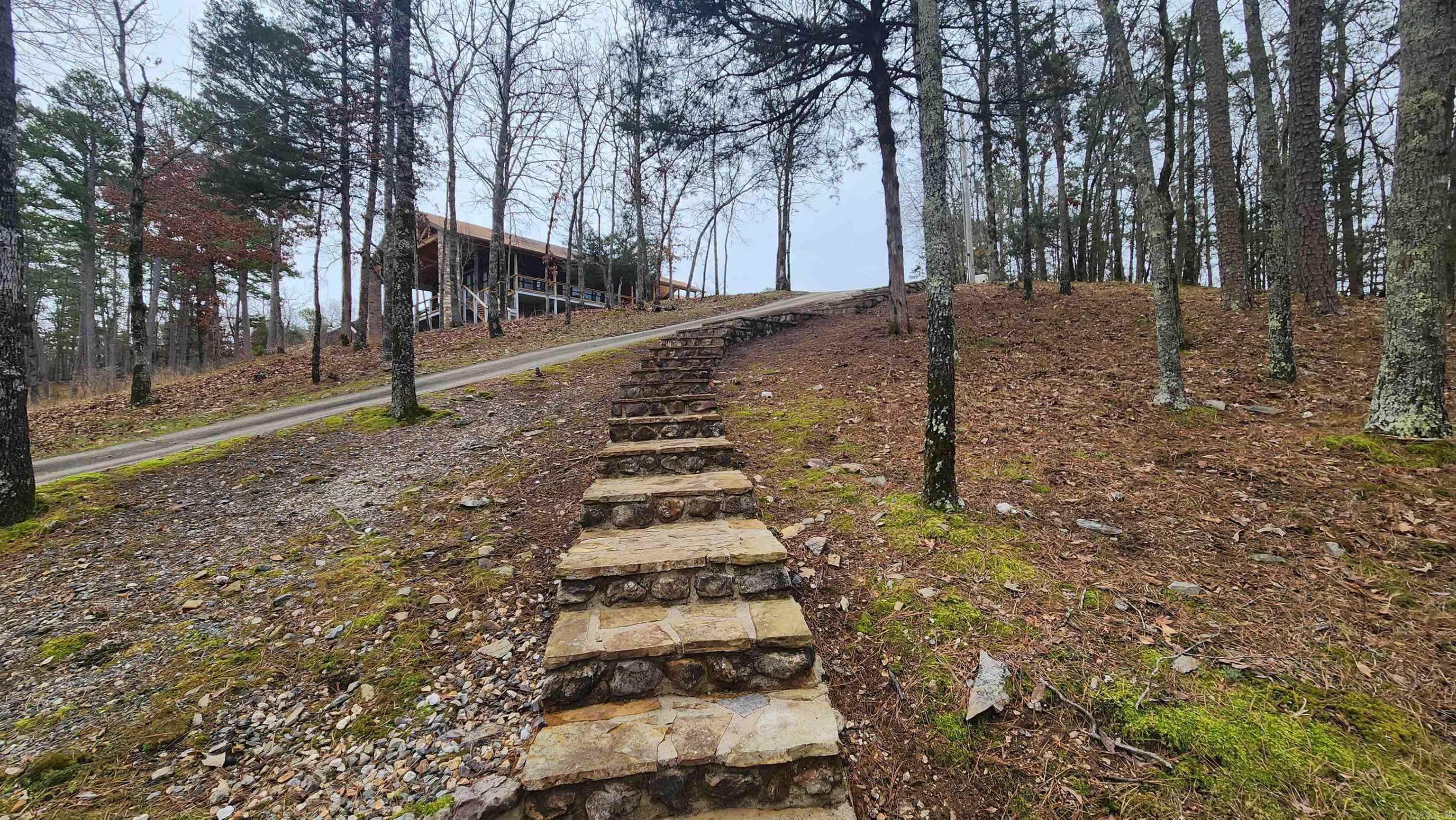 110 Lizard Lane Story, AR 71970