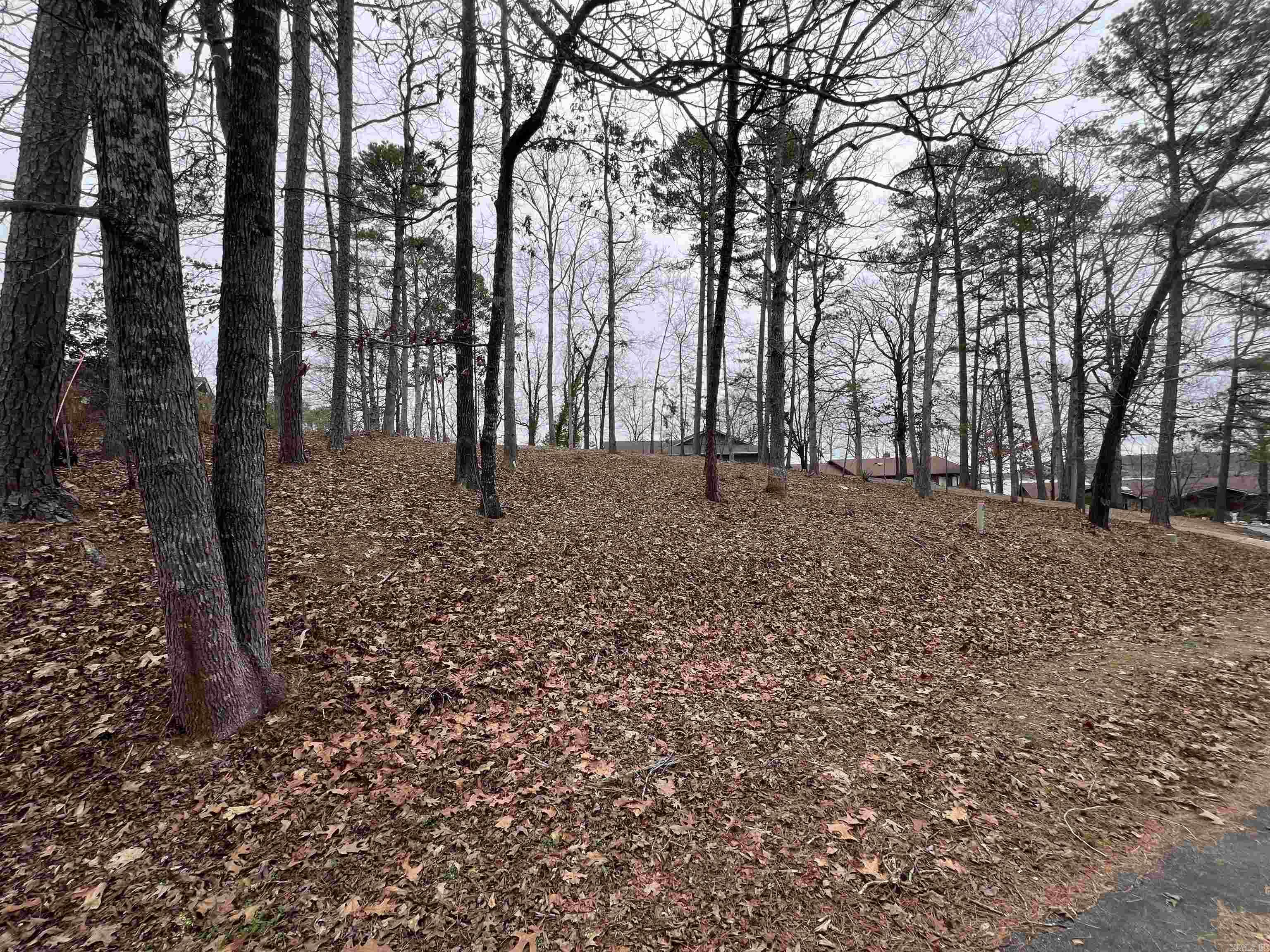5 Gaza Lane  Hot Springs Village, AR
