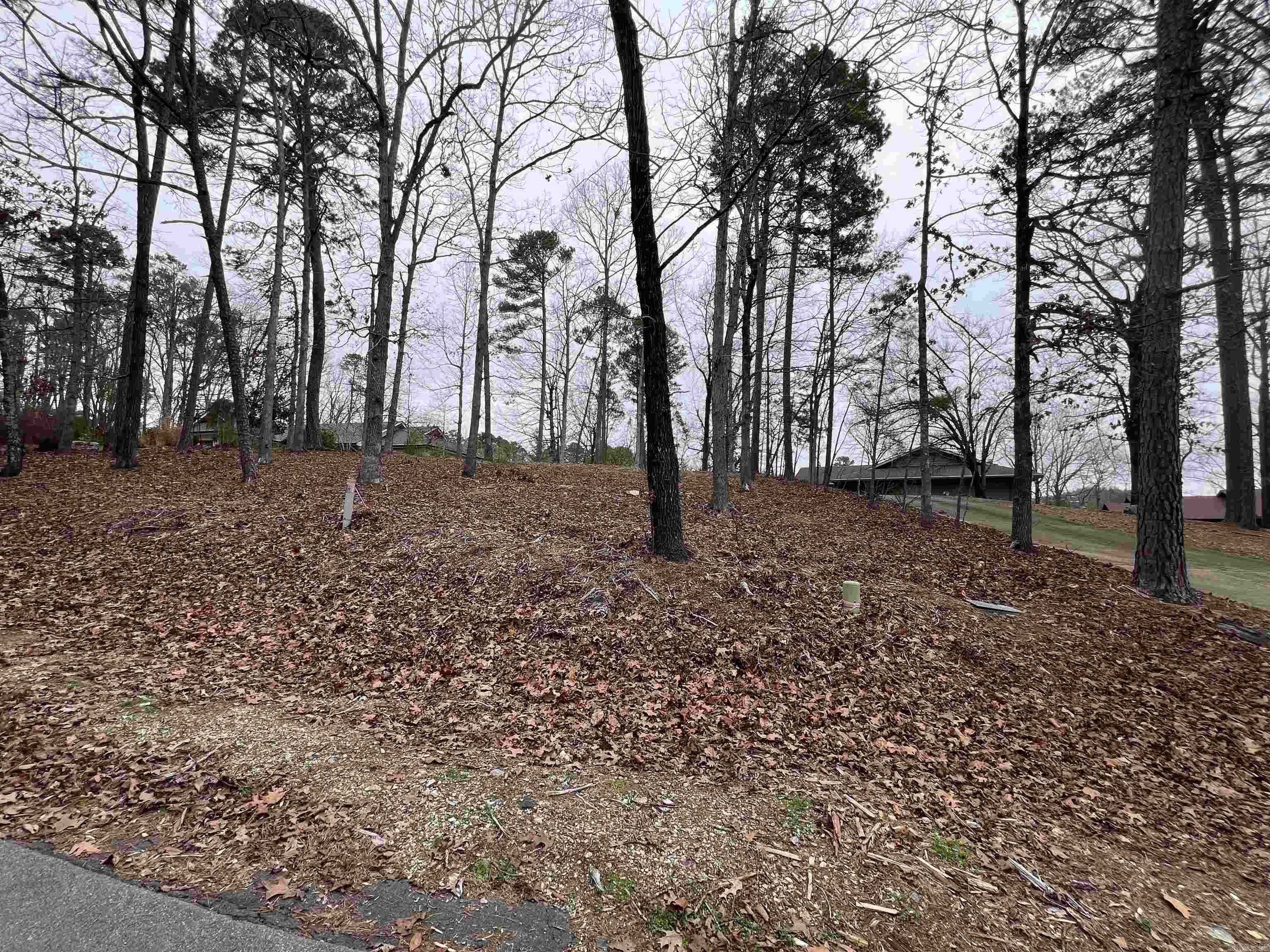 5 Gaza Lane  Hot Springs Village, AR