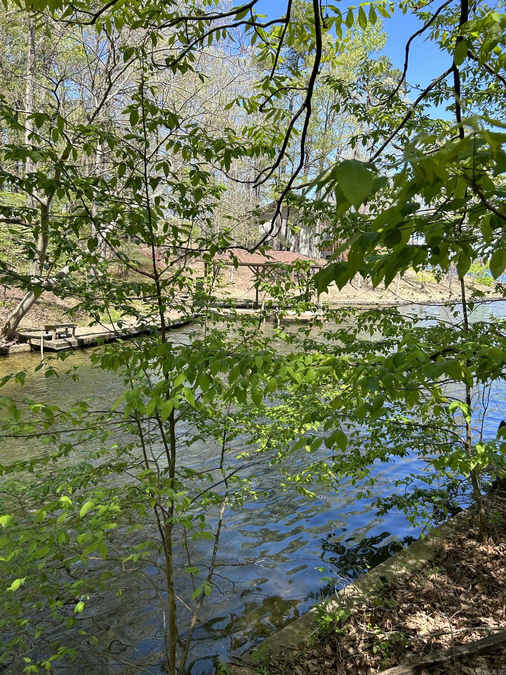 5 Gaza Lane  Hot Springs Village, AR