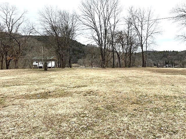 990 N Riverview  Mountain View, AR