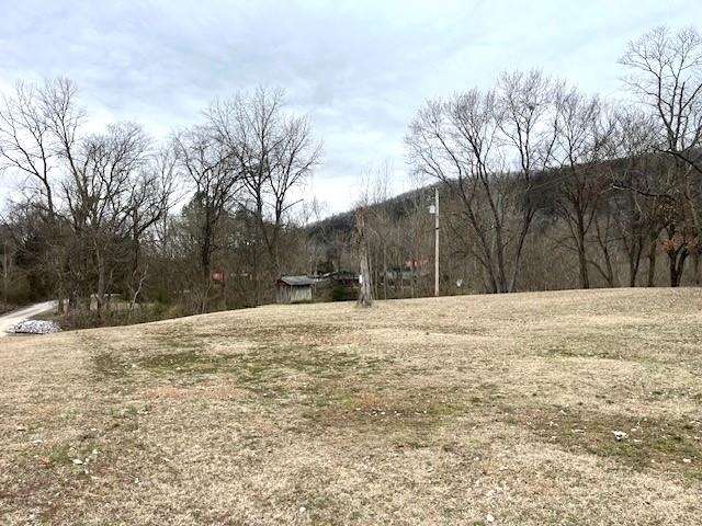 990 N Riverview  Mountain View, AR