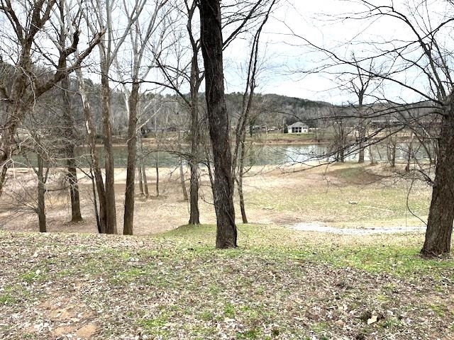 990 N Riverview  Mountain View, AR