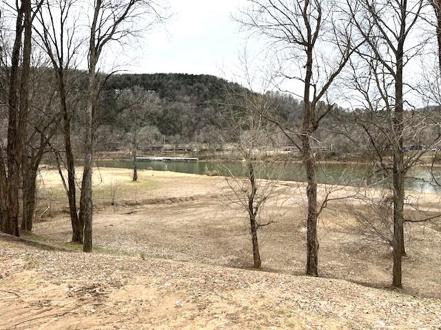 990 N Riverview  Mountain View, AR