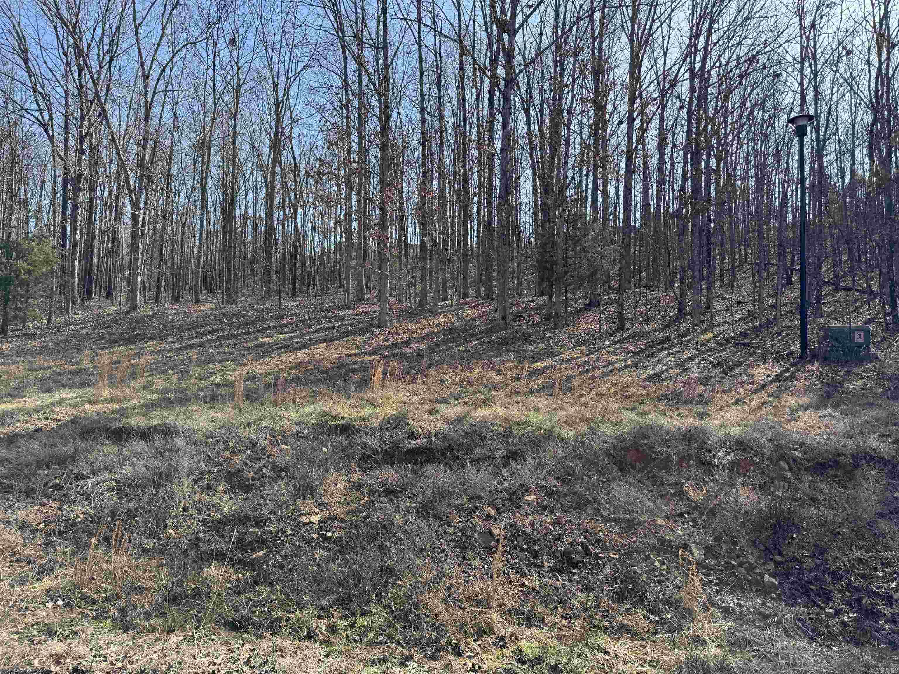 Lot 57 Rainbow Lake  Austin, AR