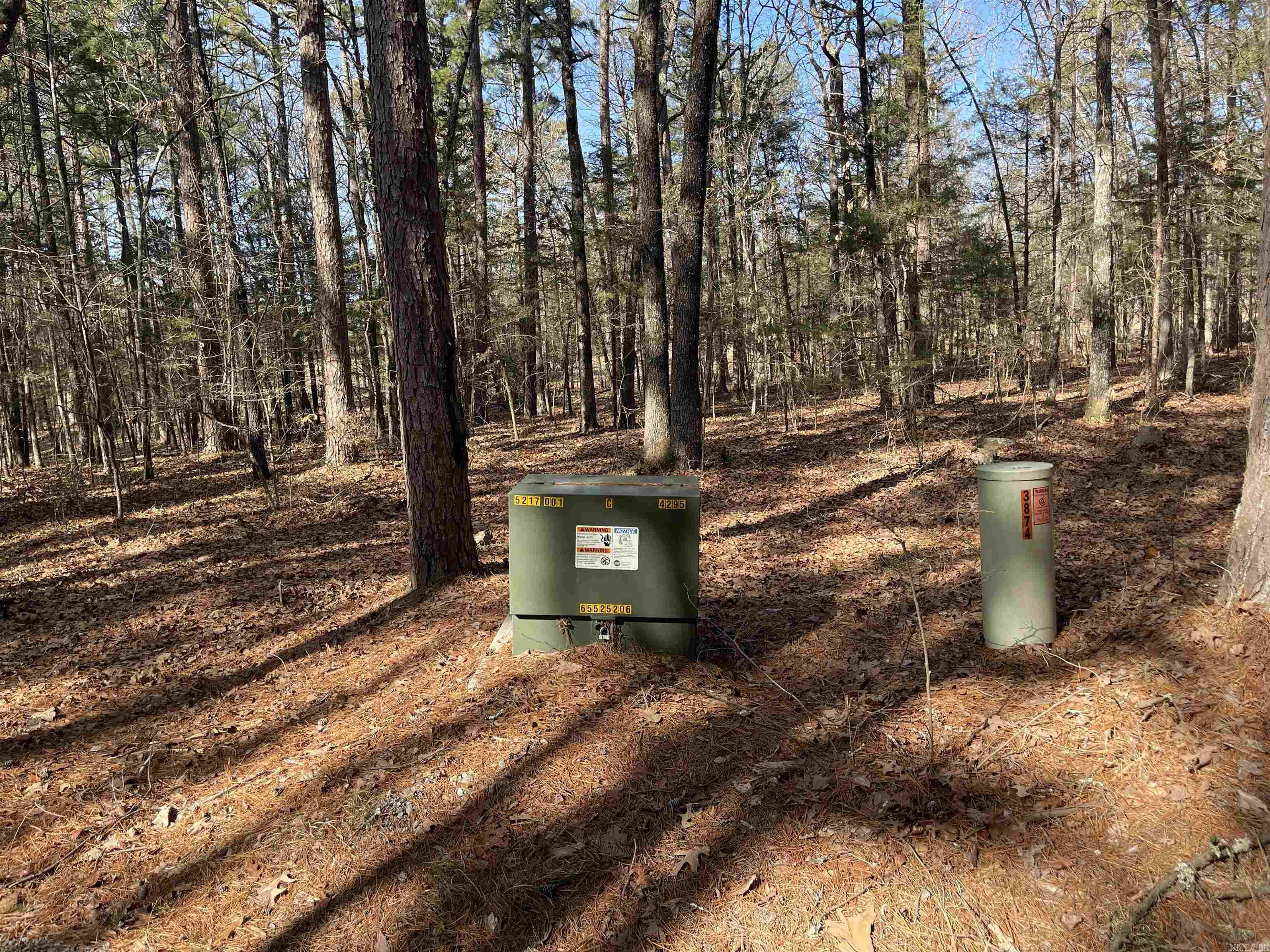 Lot 78 Tannenbaum Rd. Drasco, AR 72530