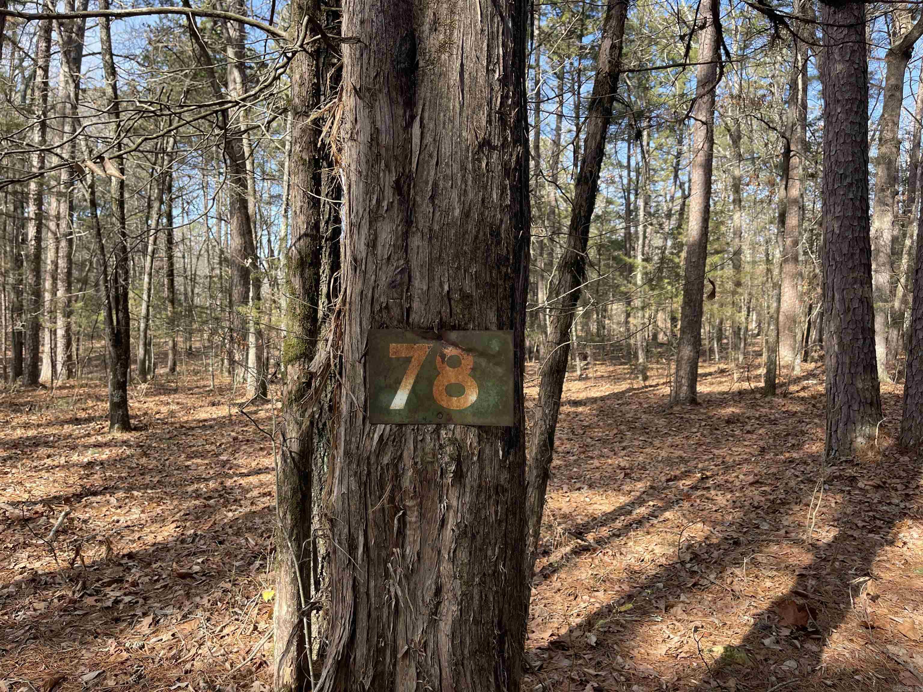 Lot 78 Tannenbaum Rd. Drasco, AR 72530