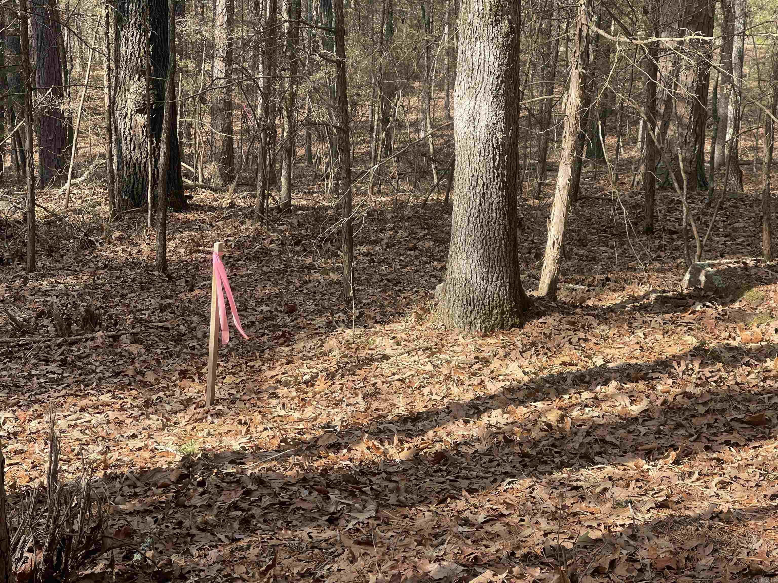 Lot 78 Tannenbaum Rd. Drasco, AR 72530