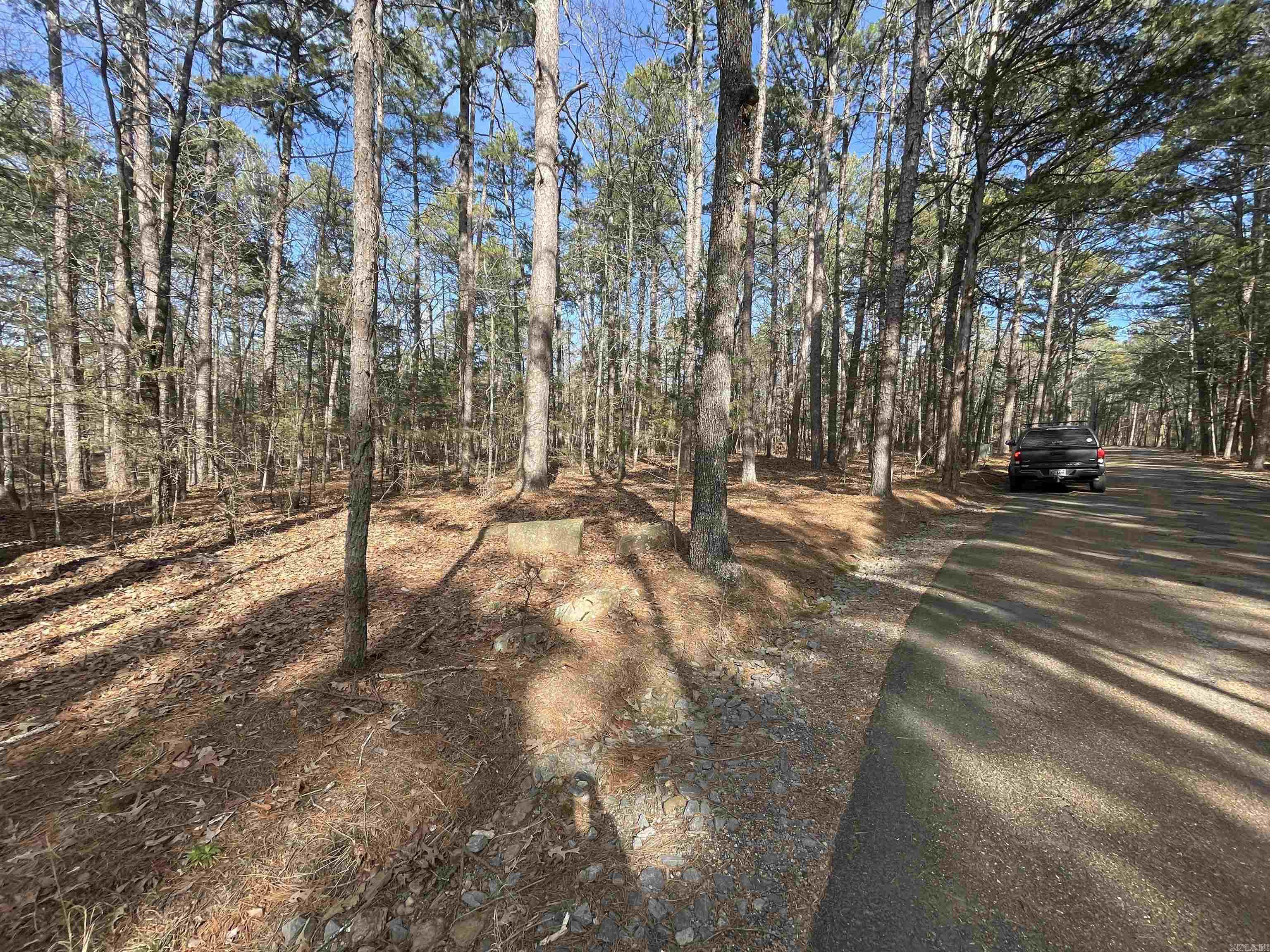 Lot 78 Tannenbaum Rd. Drasco, AR 72530