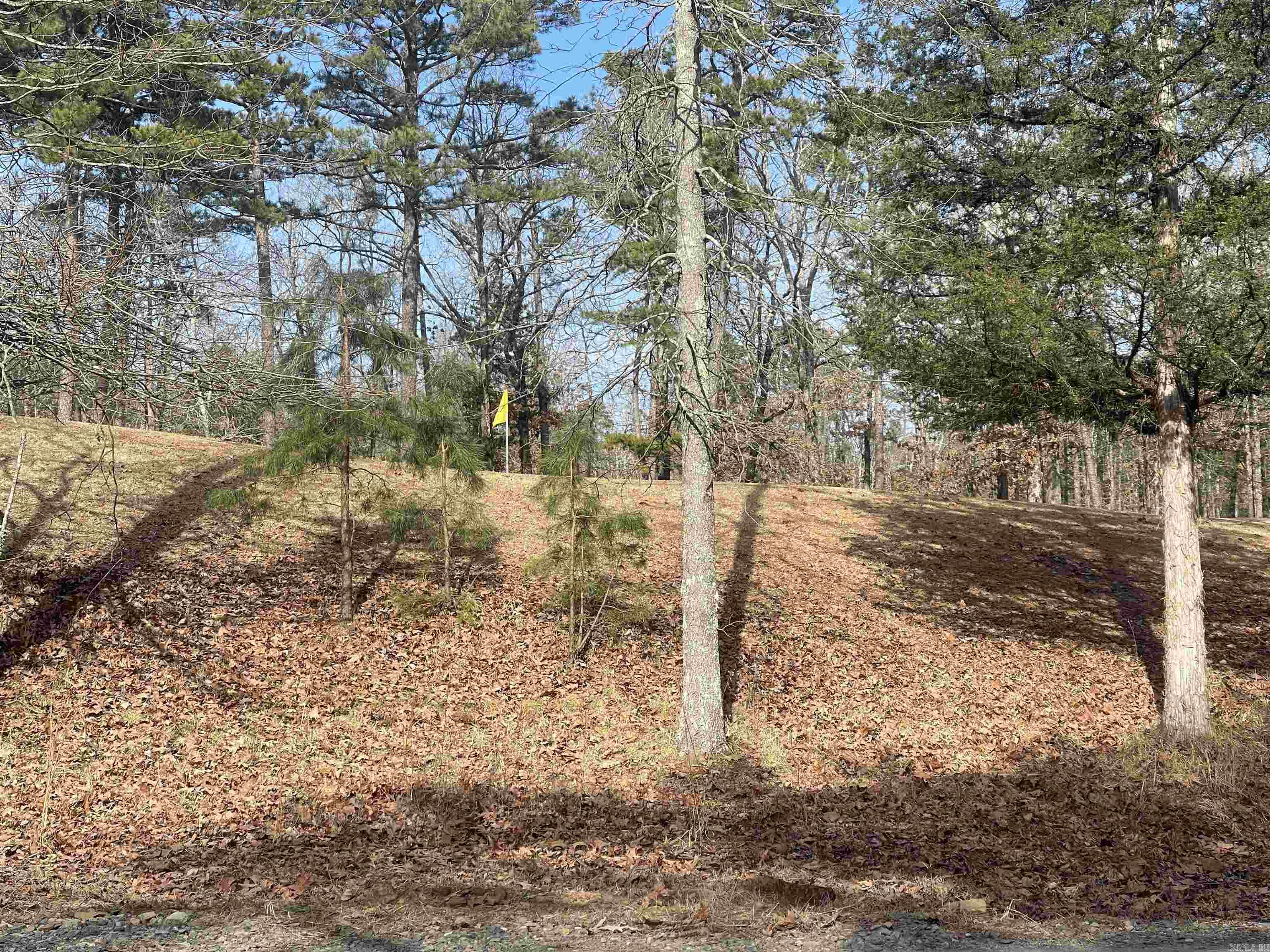 Lot 78 Tannenbaum Rd. Drasco, AR 72530