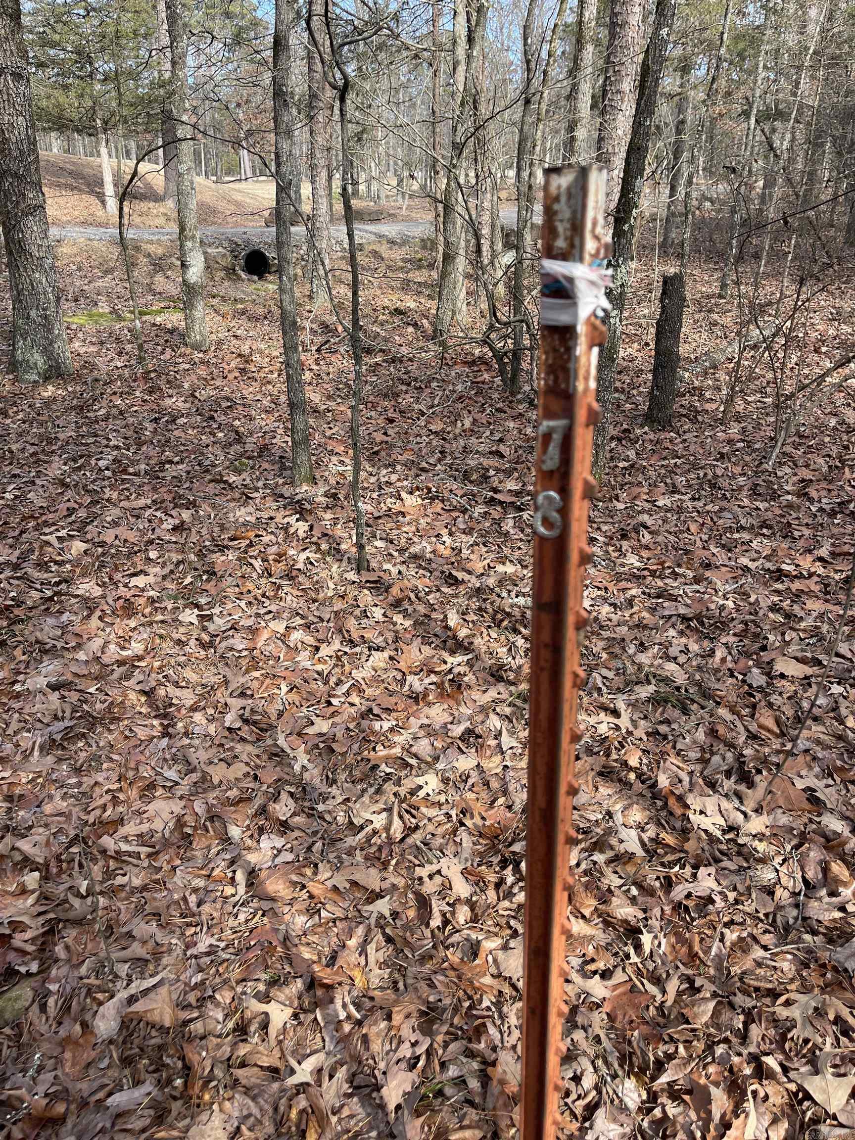 Lot 78 Tannenbaum Rd. Drasco, AR 72530