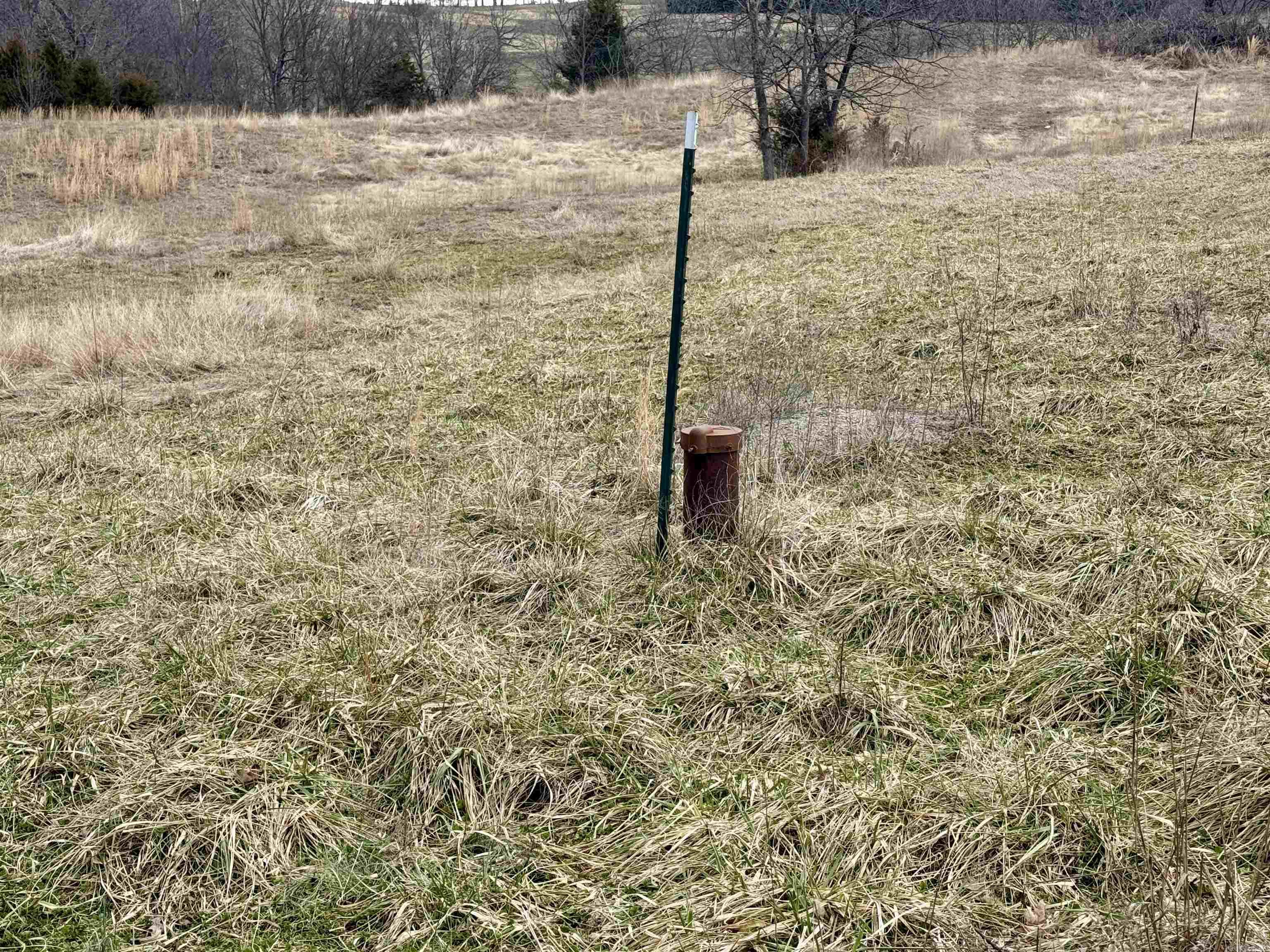 TBD Cedar Park  Viola, AR