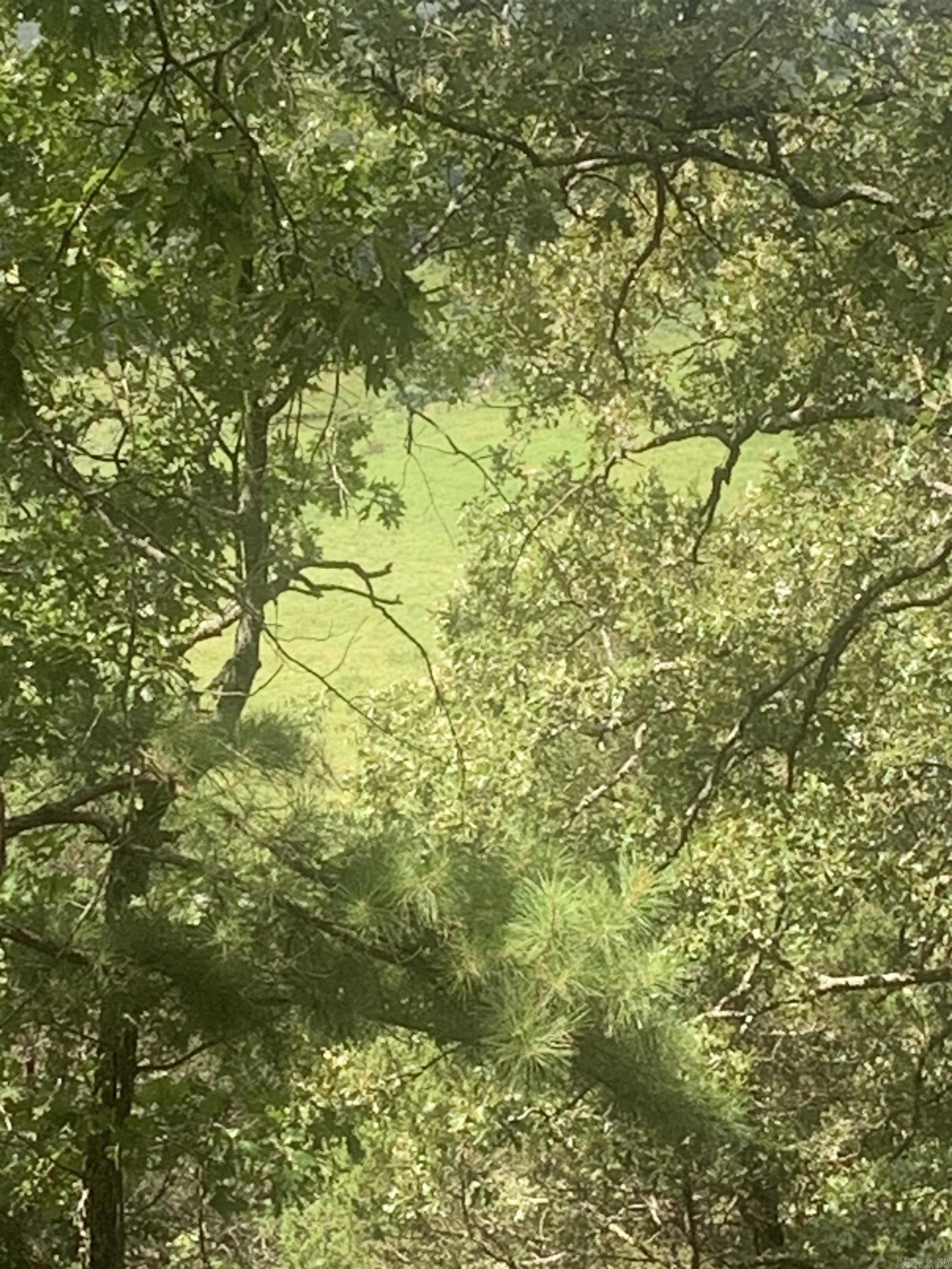 TBD Cedar Park  Viola, AR