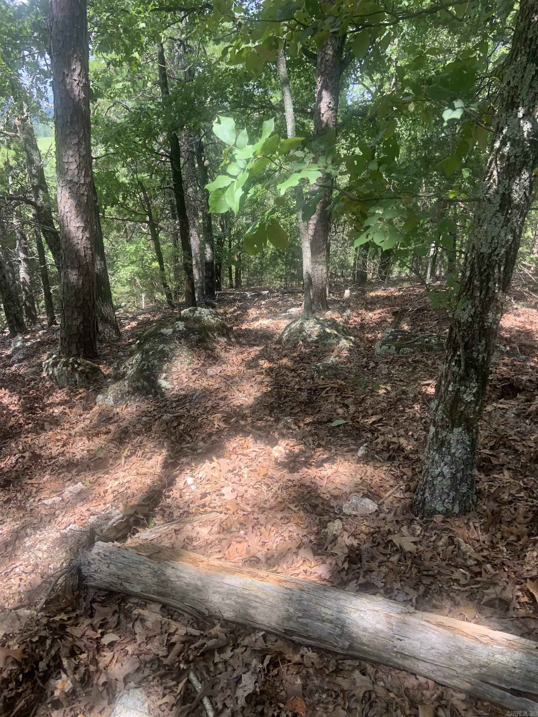 TBD Cedar Park  Viola, AR