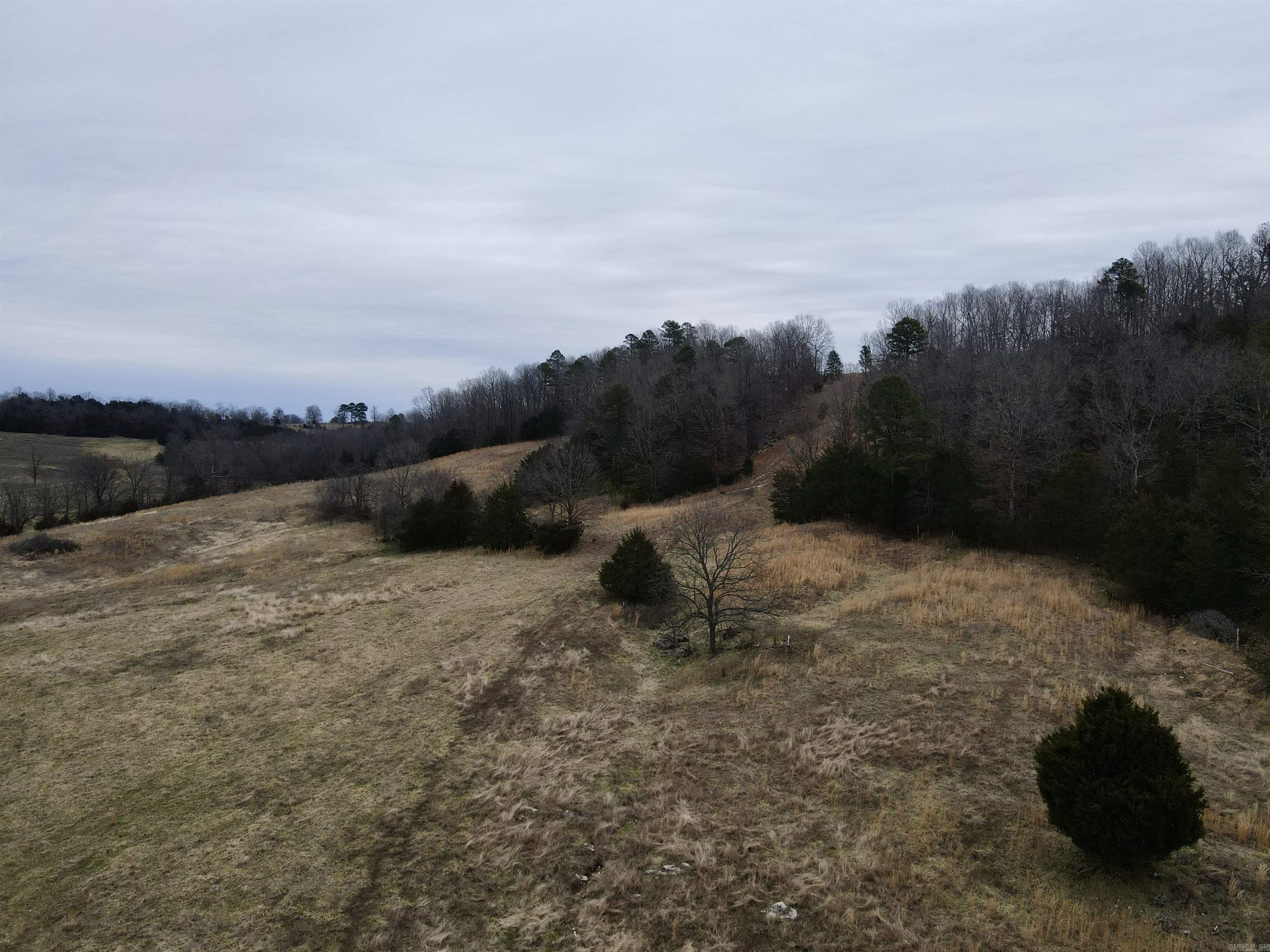 TBD Cedar Park  Viola, AR