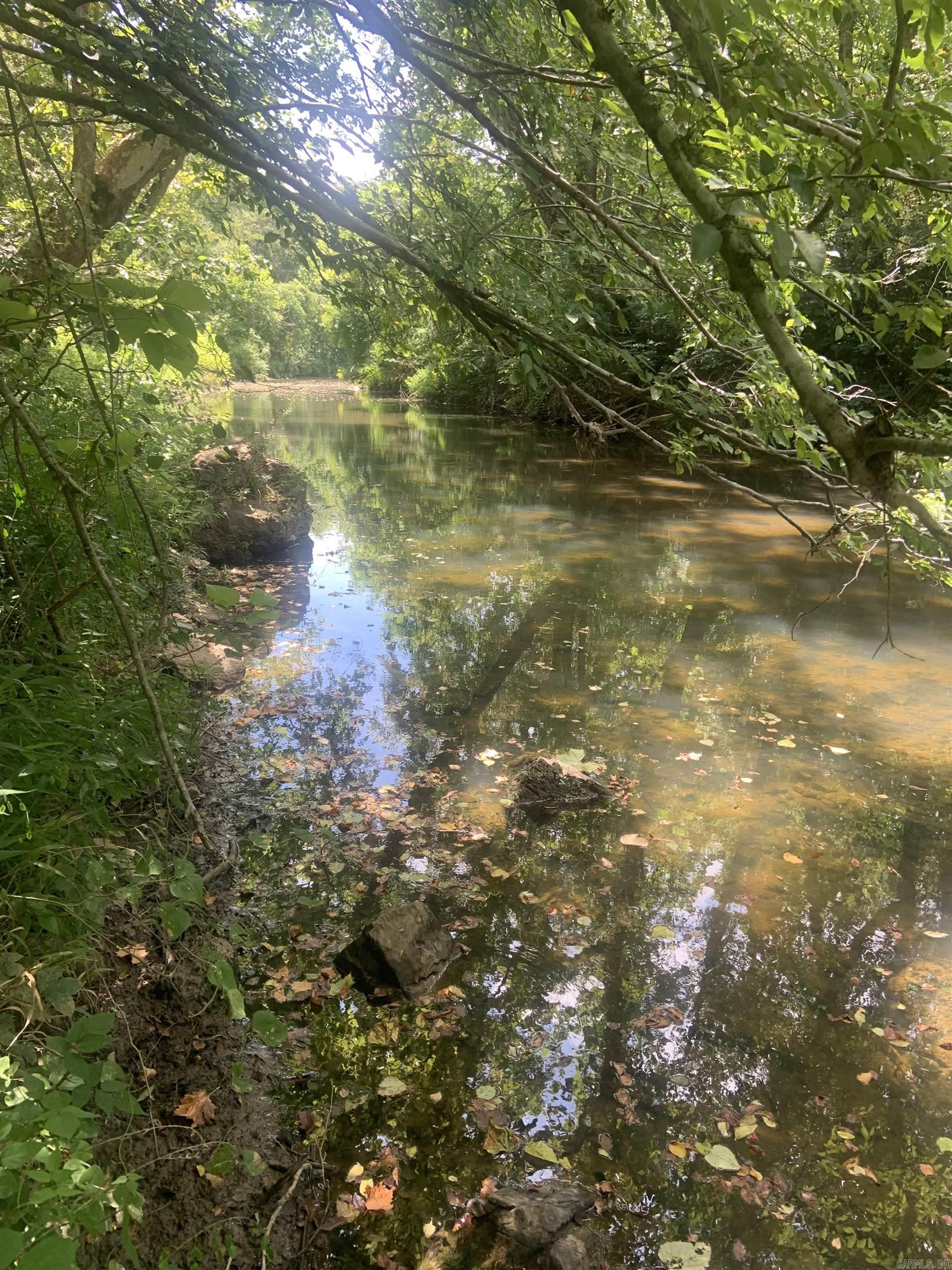 TBD Cedar Park  Viola, AR