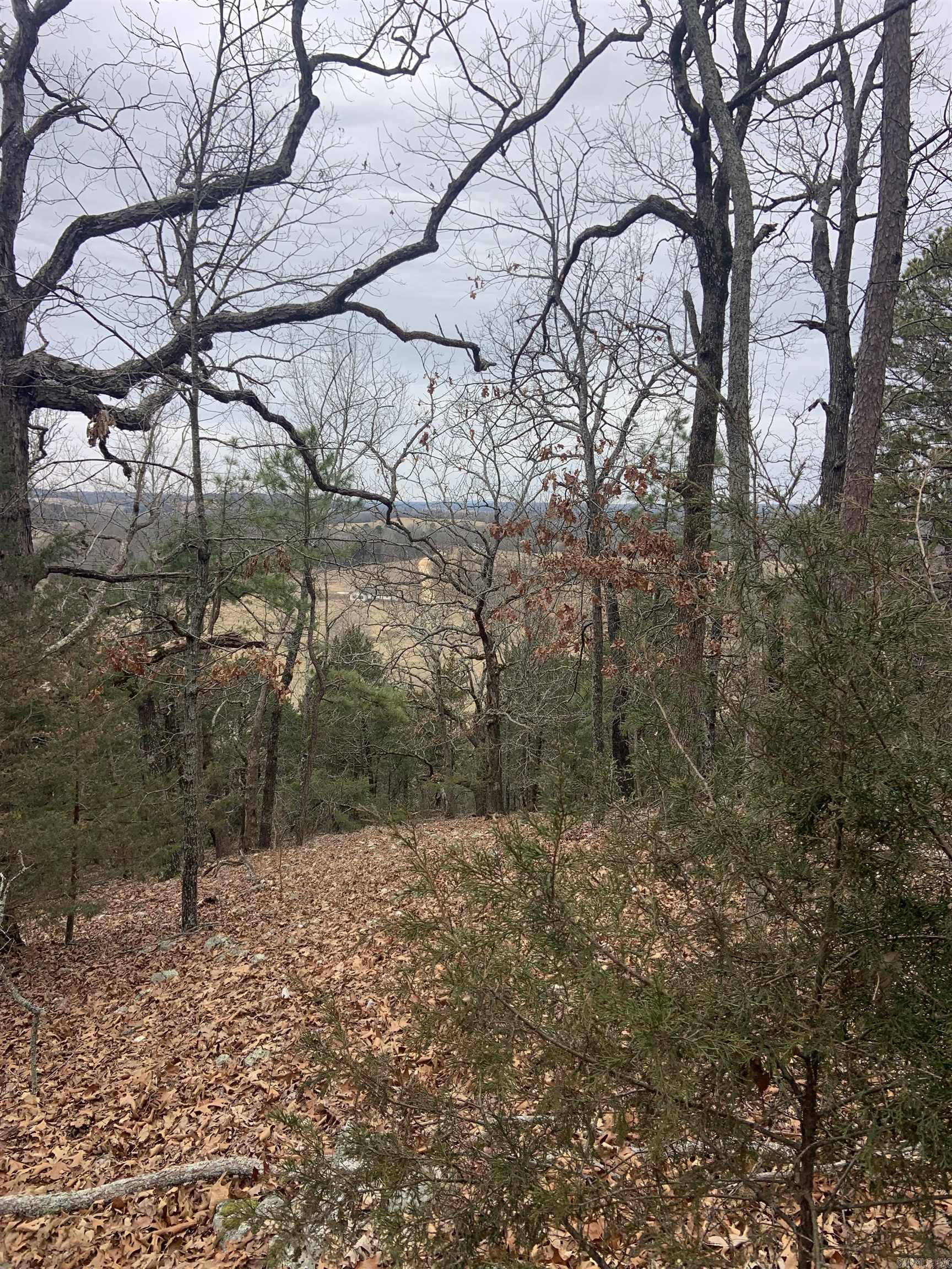 TBD Cedar Park  Viola, AR