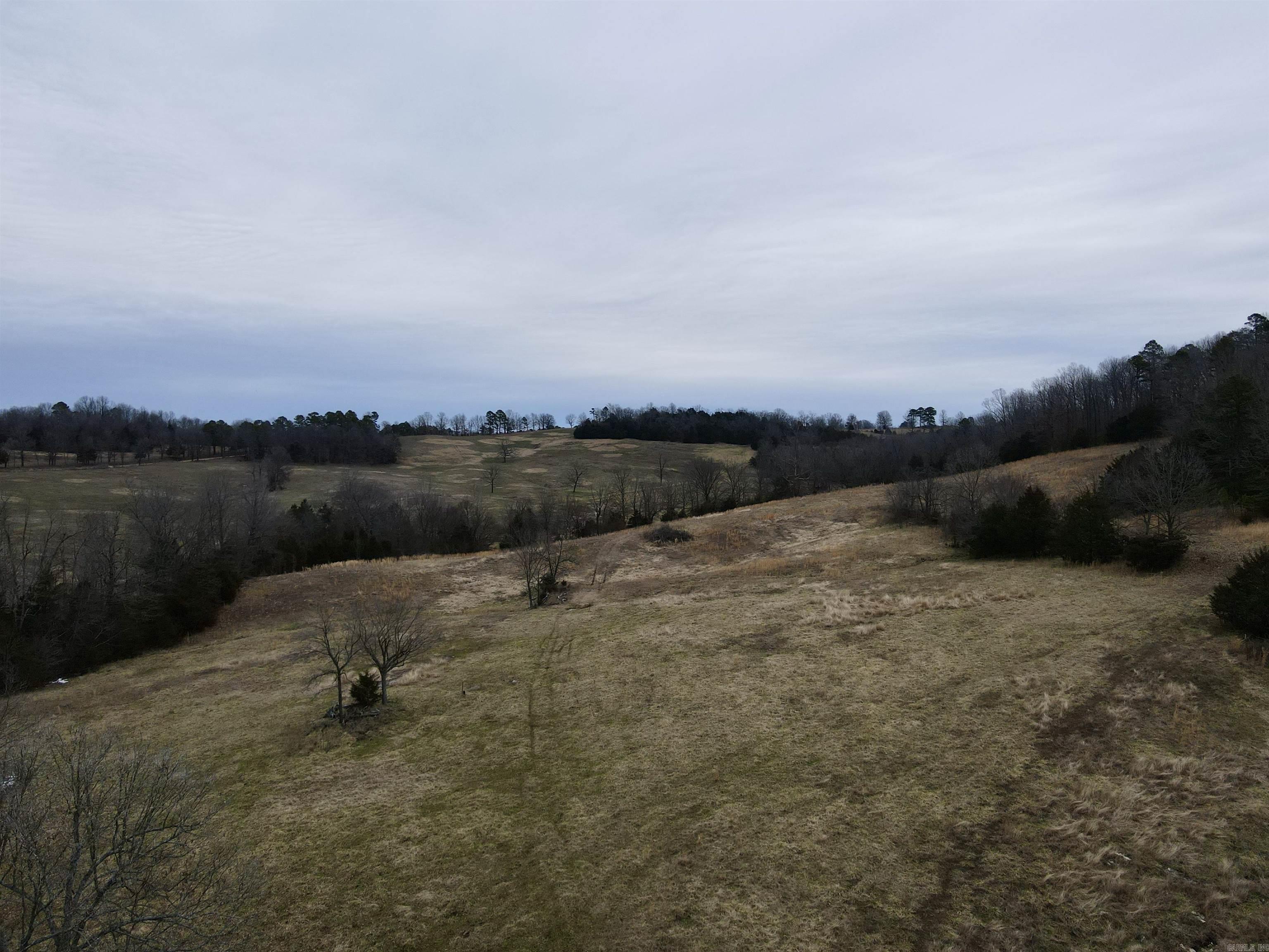 TBD Cedar Park  Viola, AR