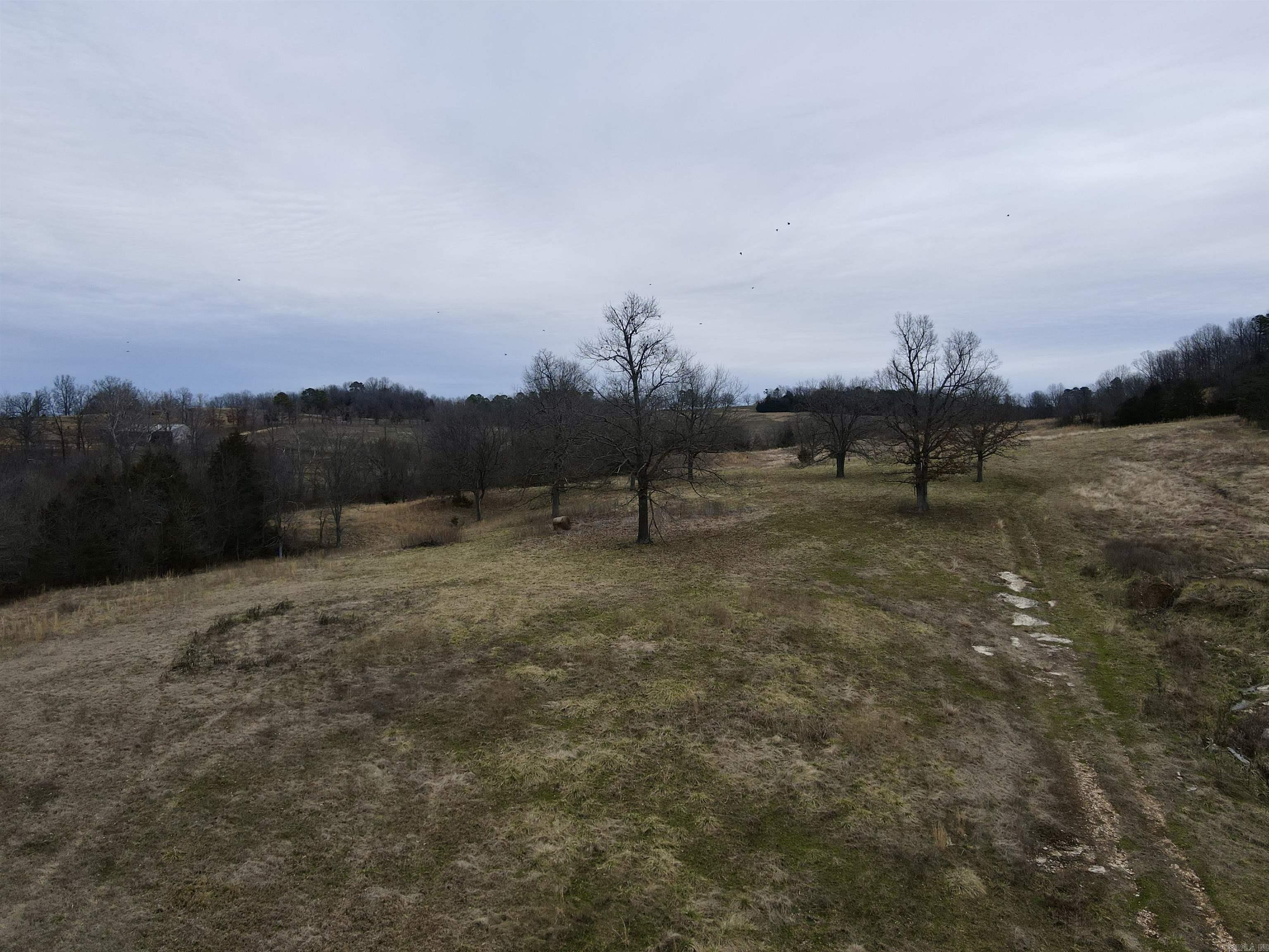 TBD Cedar Park  Viola, AR