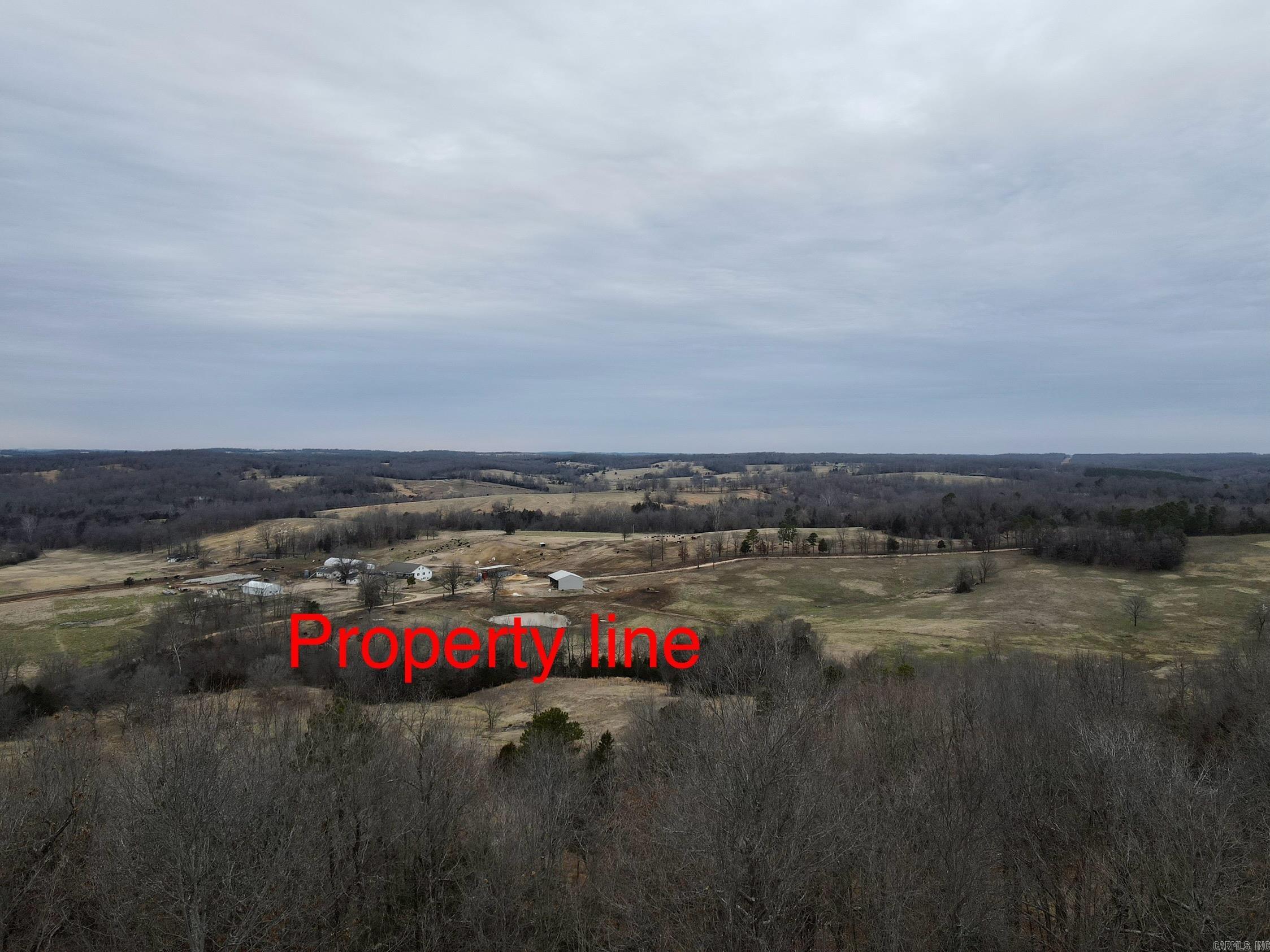 TBD Cedar Park  Viola, AR