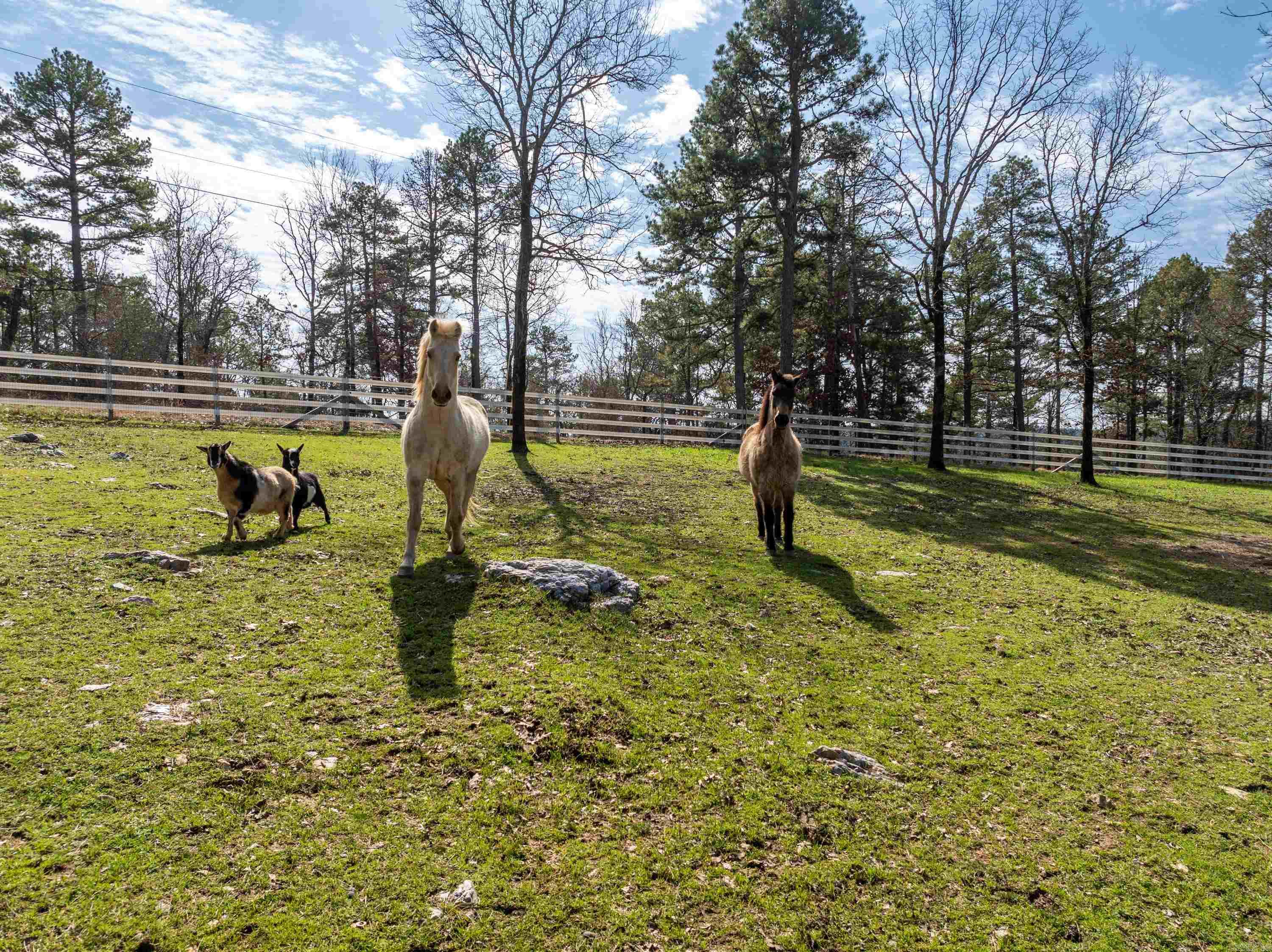 105 Pinnacle Court Hot Springs, AR 71913-9999