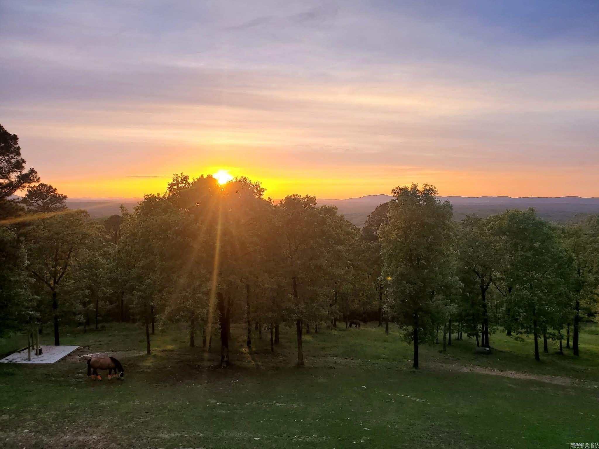 105 Pinnacle Court Hot Springs, AR 71913-9999