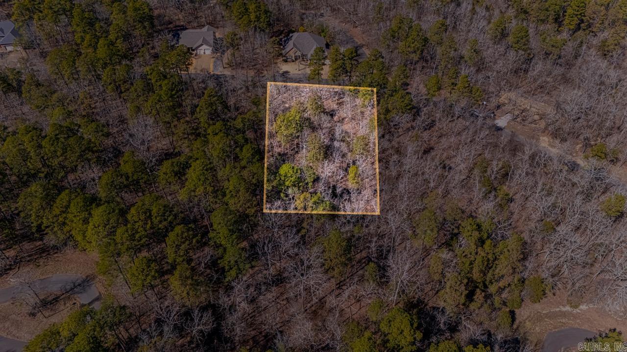 48 Campeon  Hot Springs Village, AR