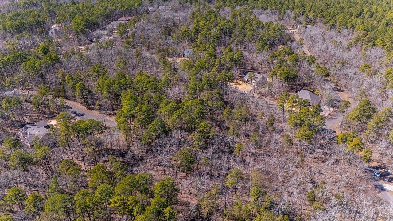 48 Campeon  Hot Springs Village, AR